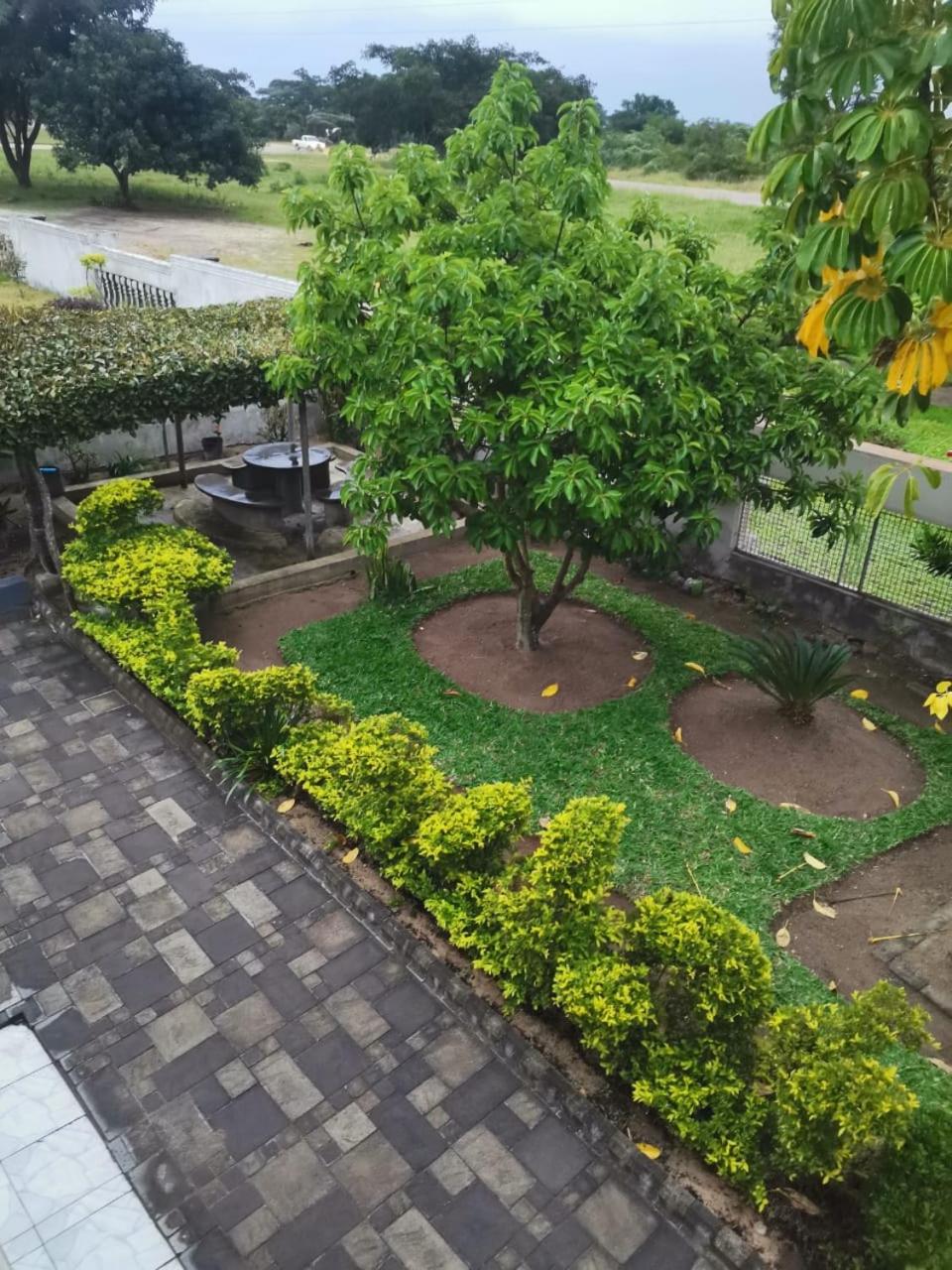 Photo 12