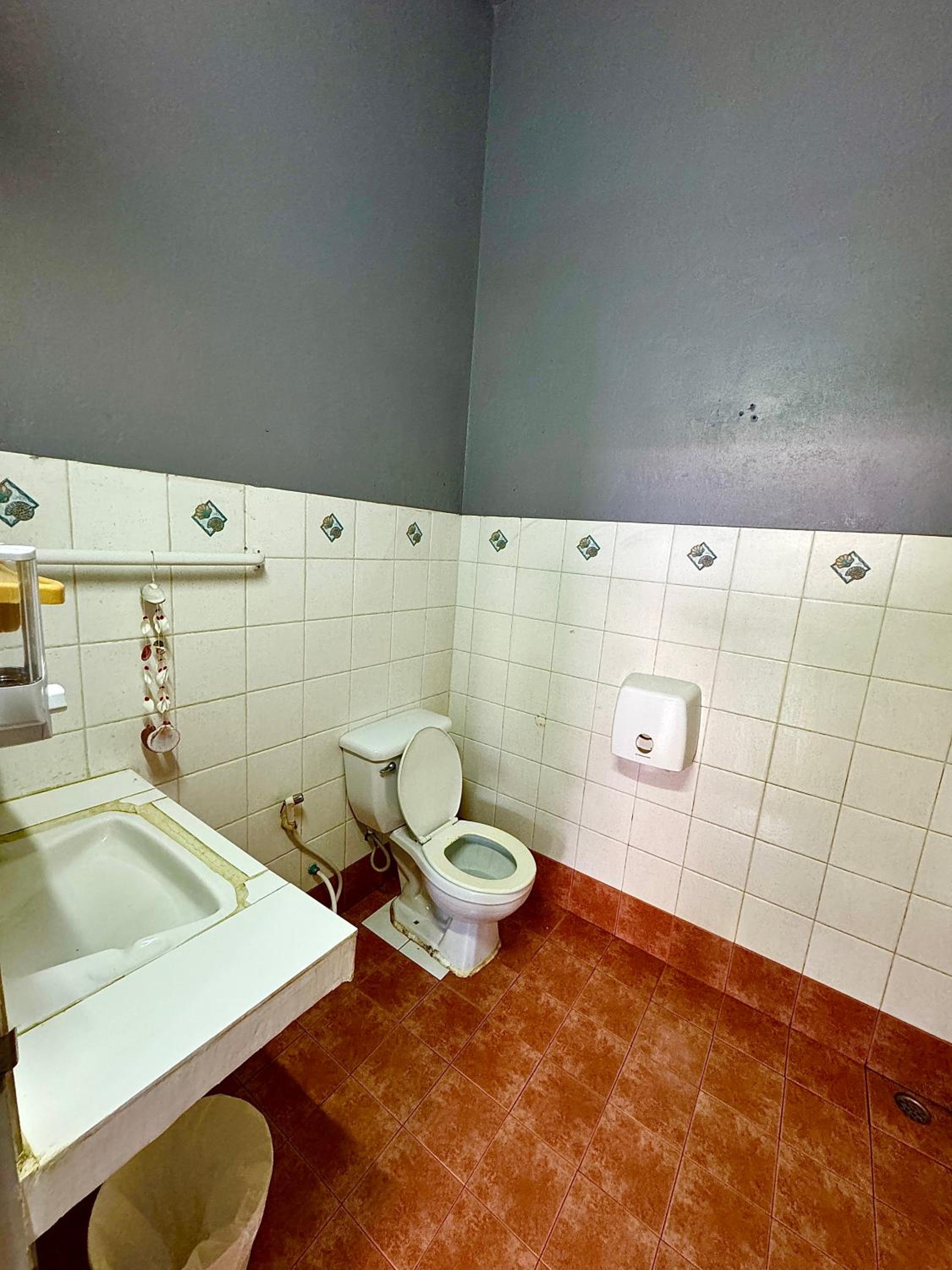 Photo 50