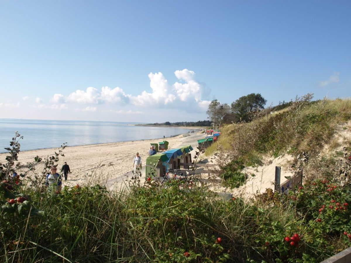 Reethaus am Strand direkt am Meer