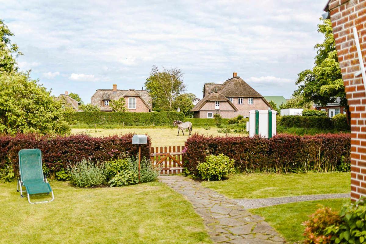 Ferienhaus VOGELKIEKER