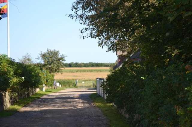 Ferienhaus VOGELKIEKER