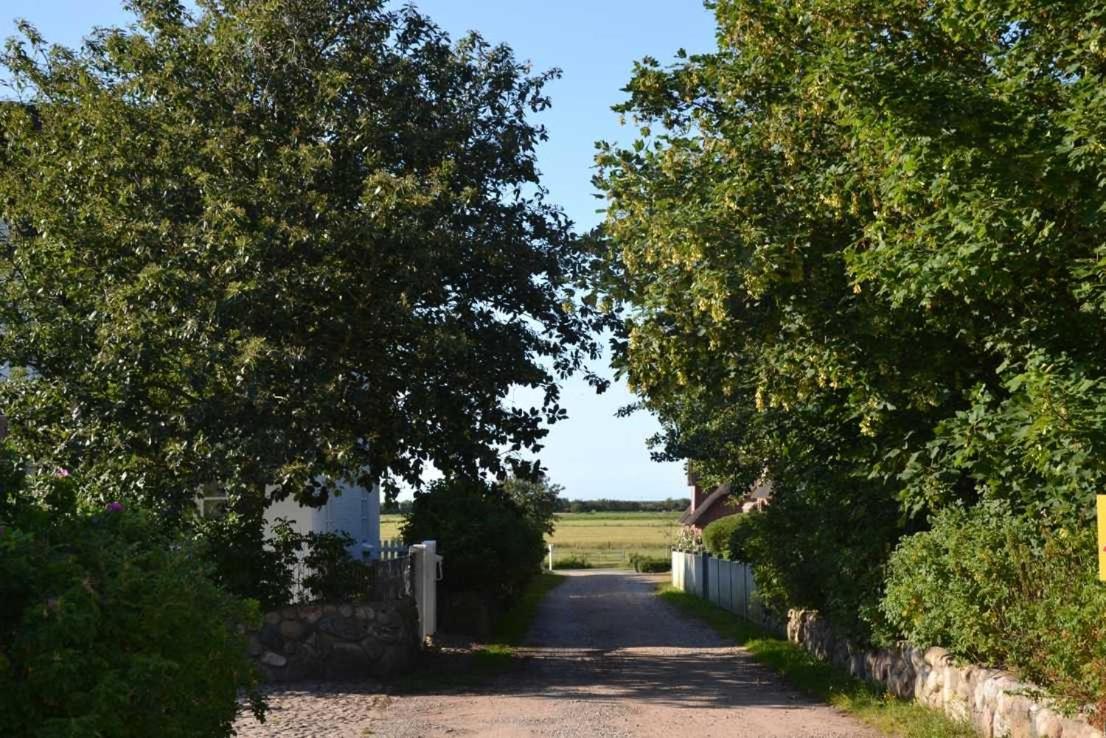 Ferienhaus VOGELKIEKER