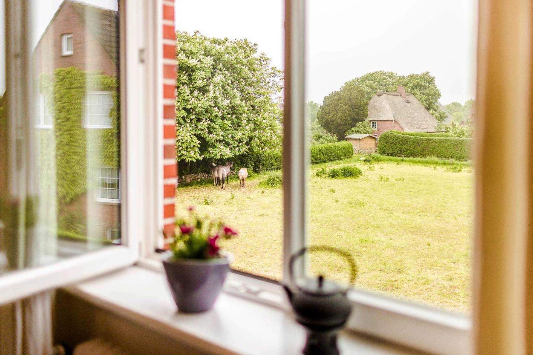 Ferienhaus VOGELKIEKER