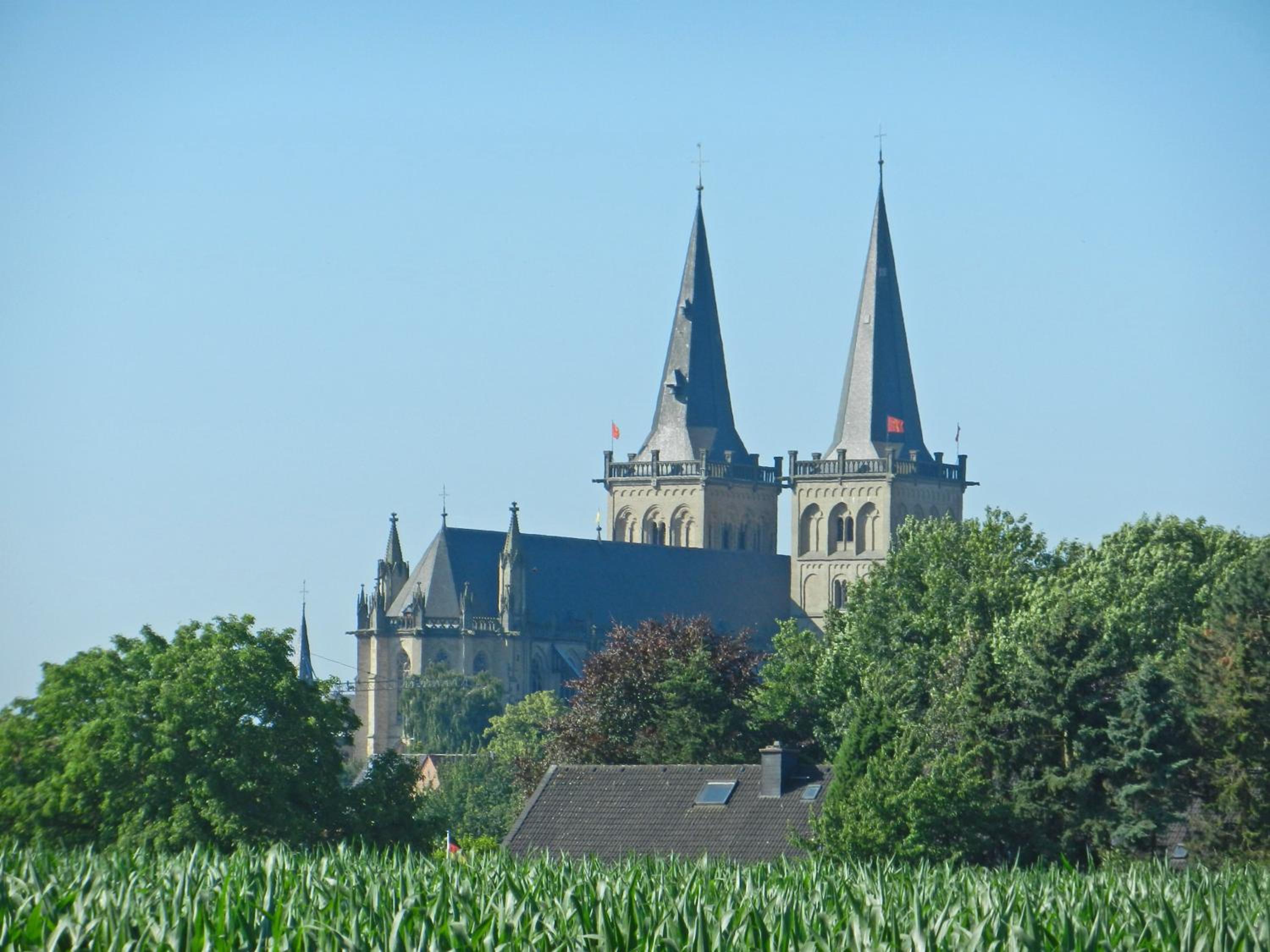 Photo 15
