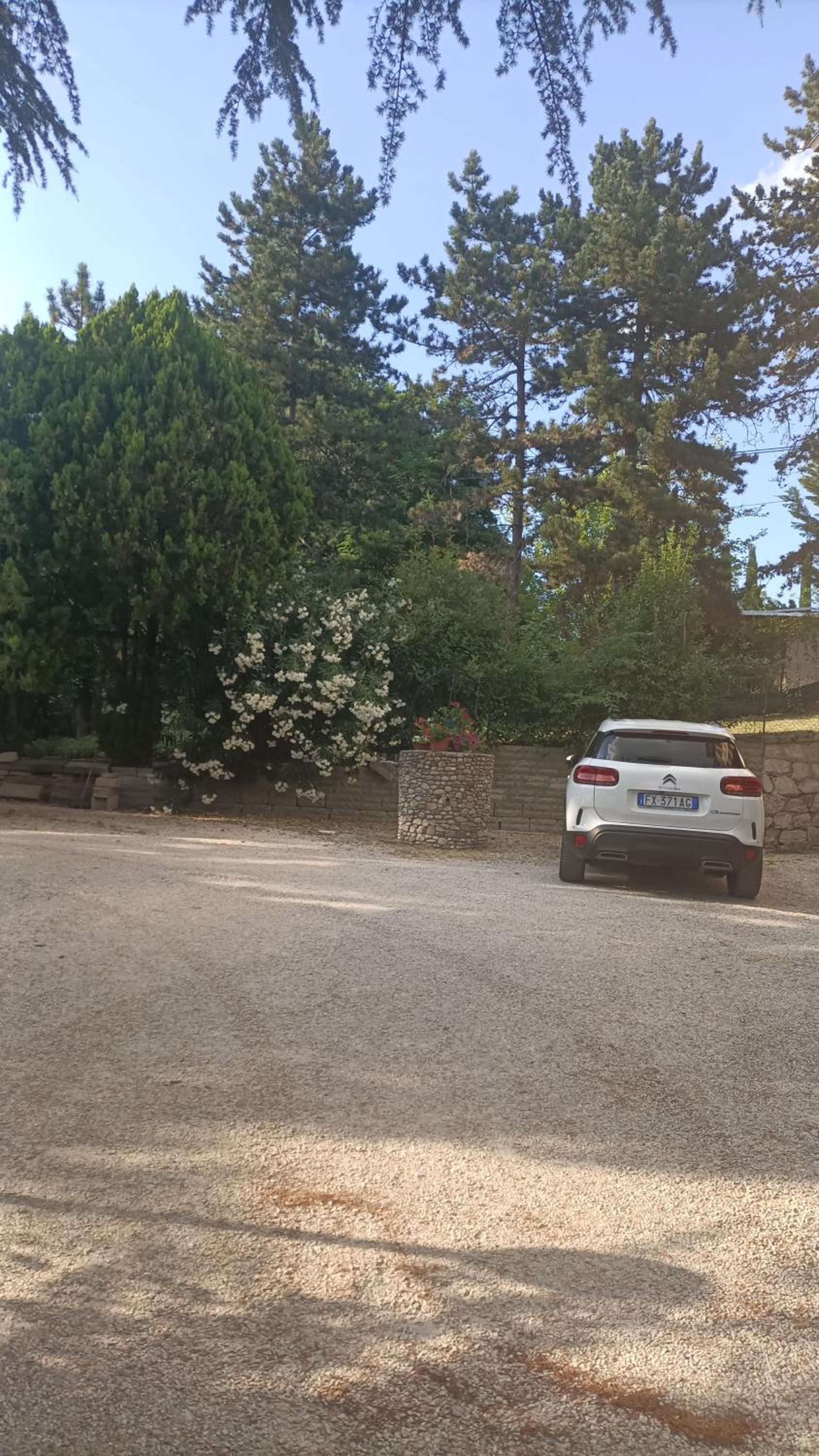 parking