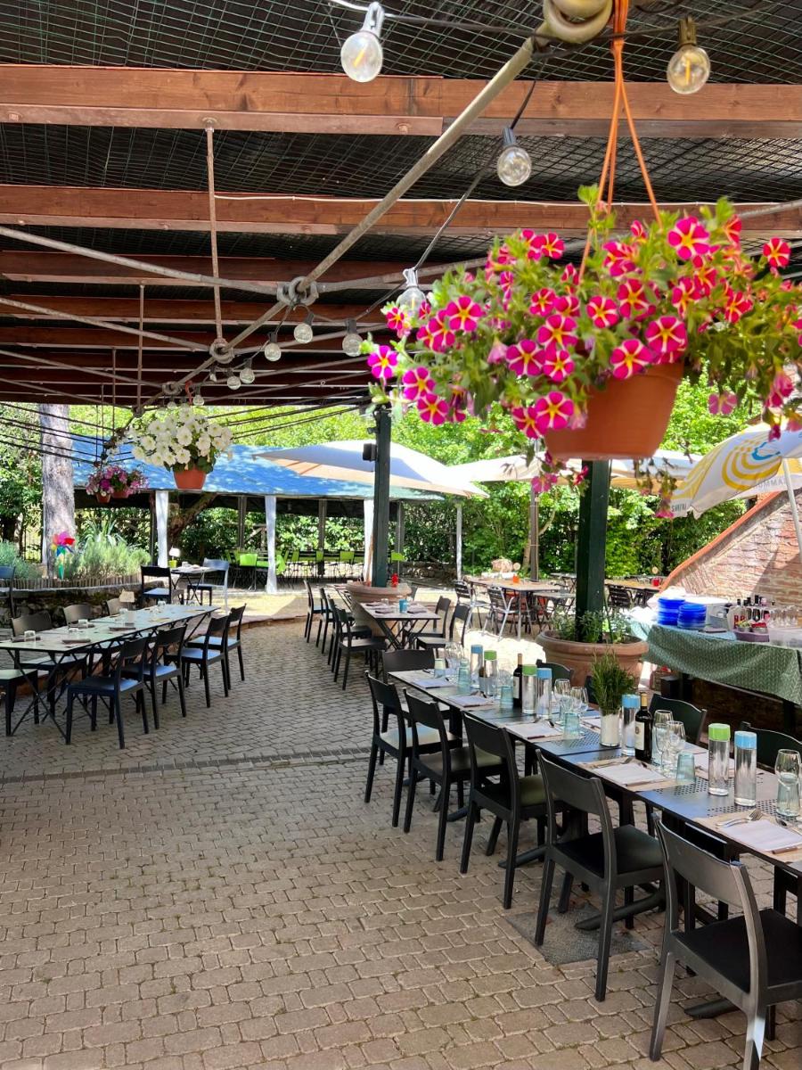 Podere La Miniera Relax & Food view 2