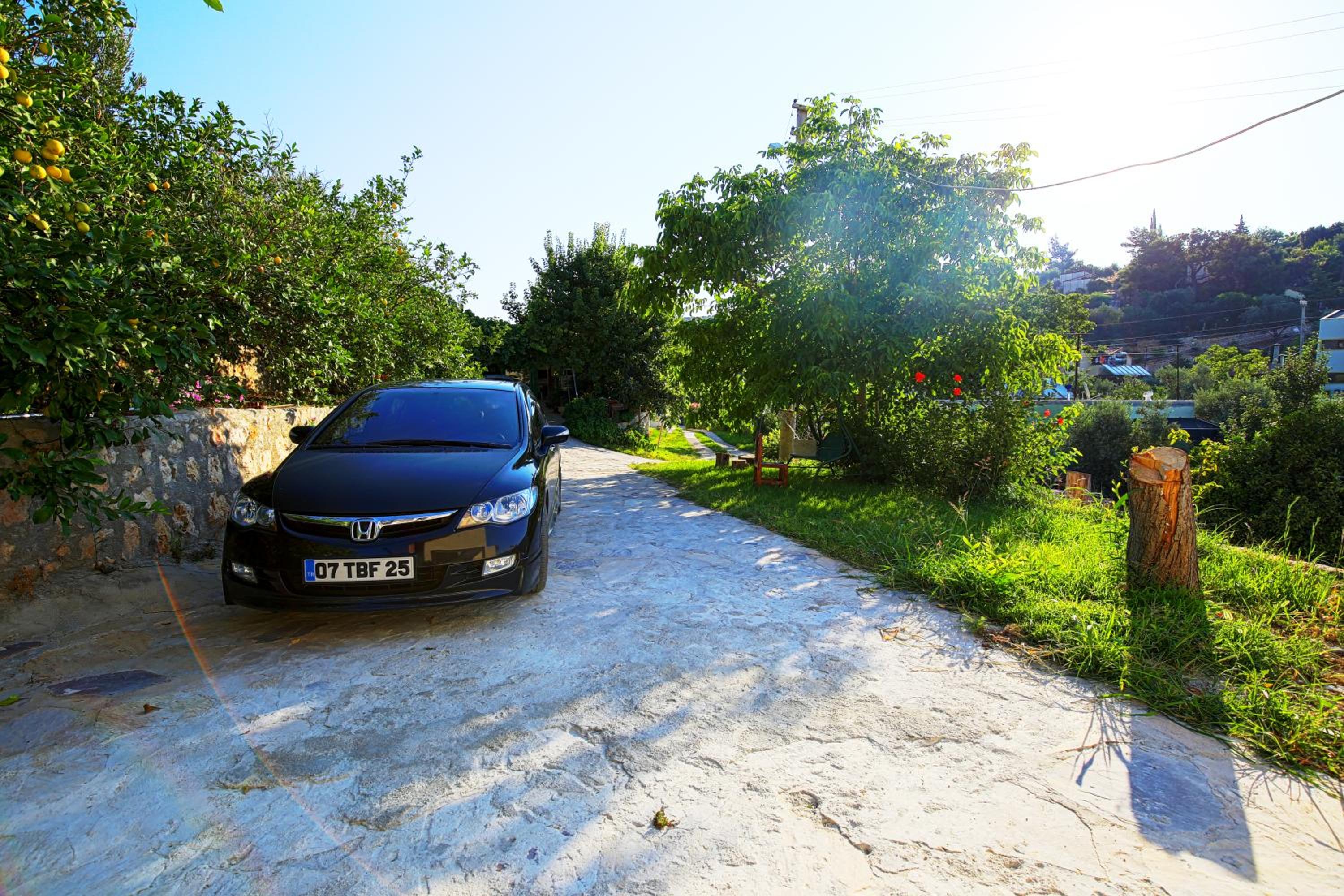 Photo 40