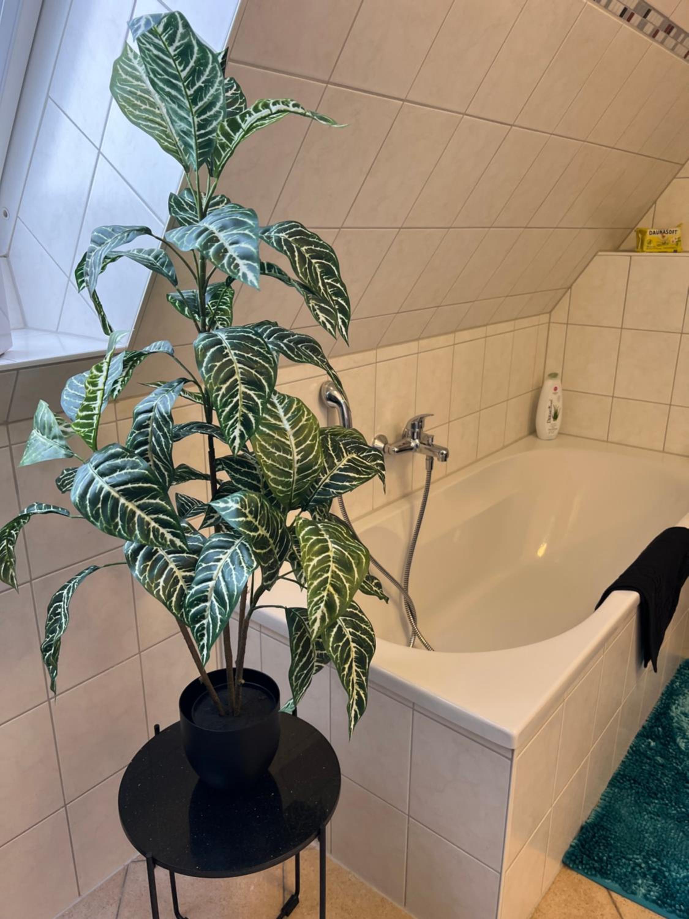 Apartment ZUR ALTEN POST