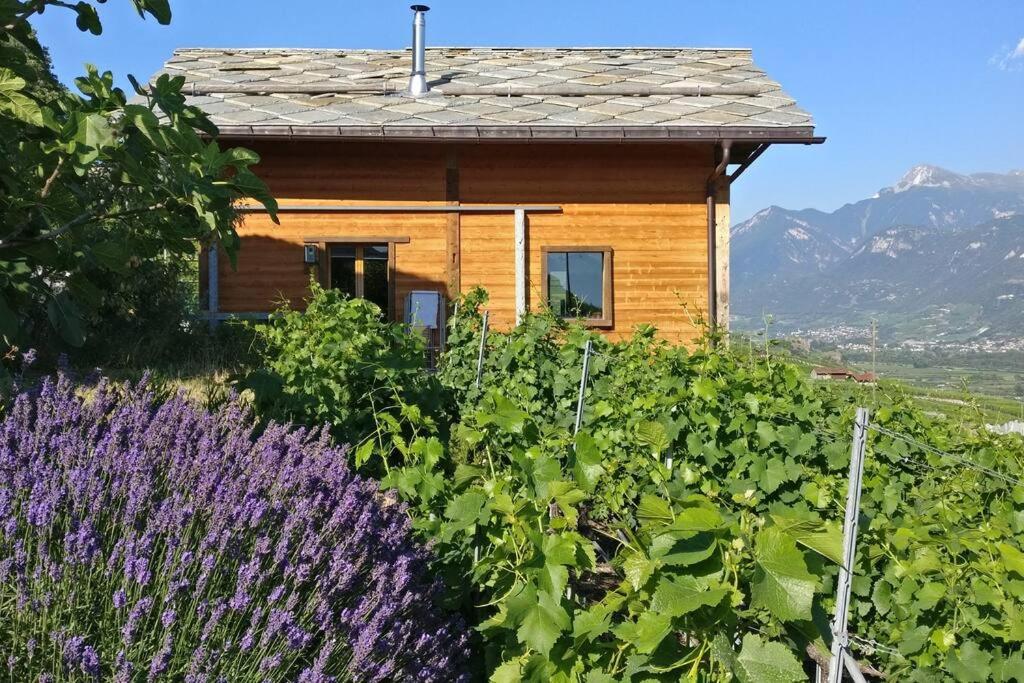 La Mijonnette des vignes