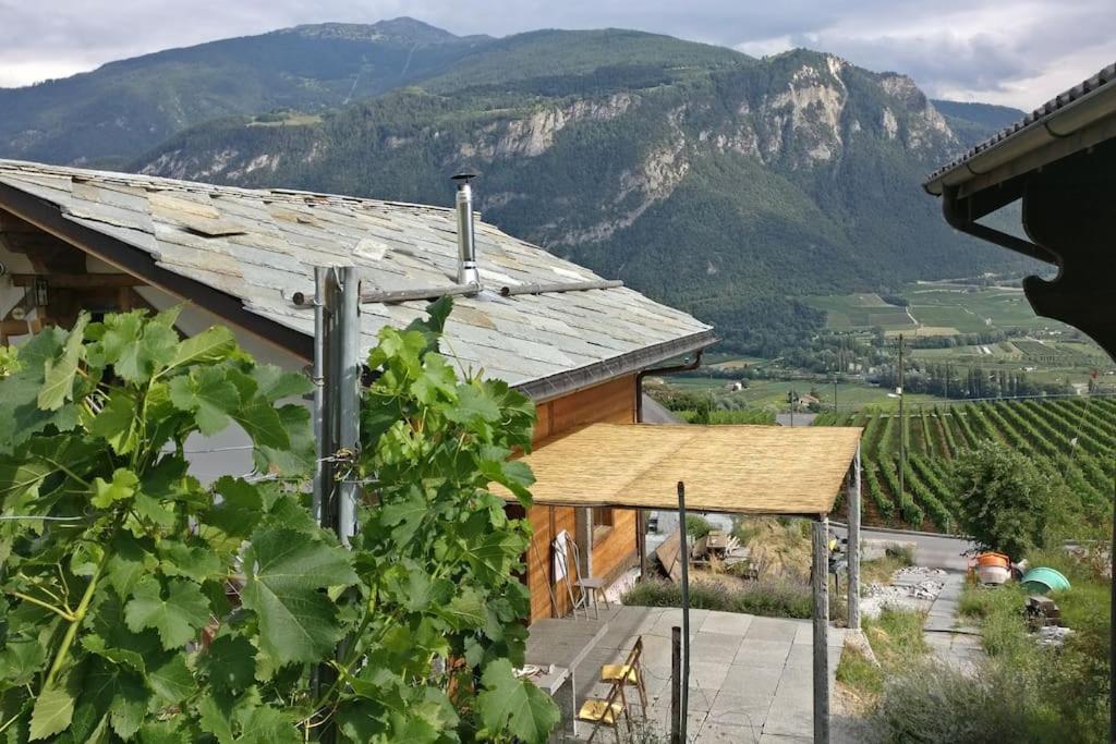La Mijonnette des vignes