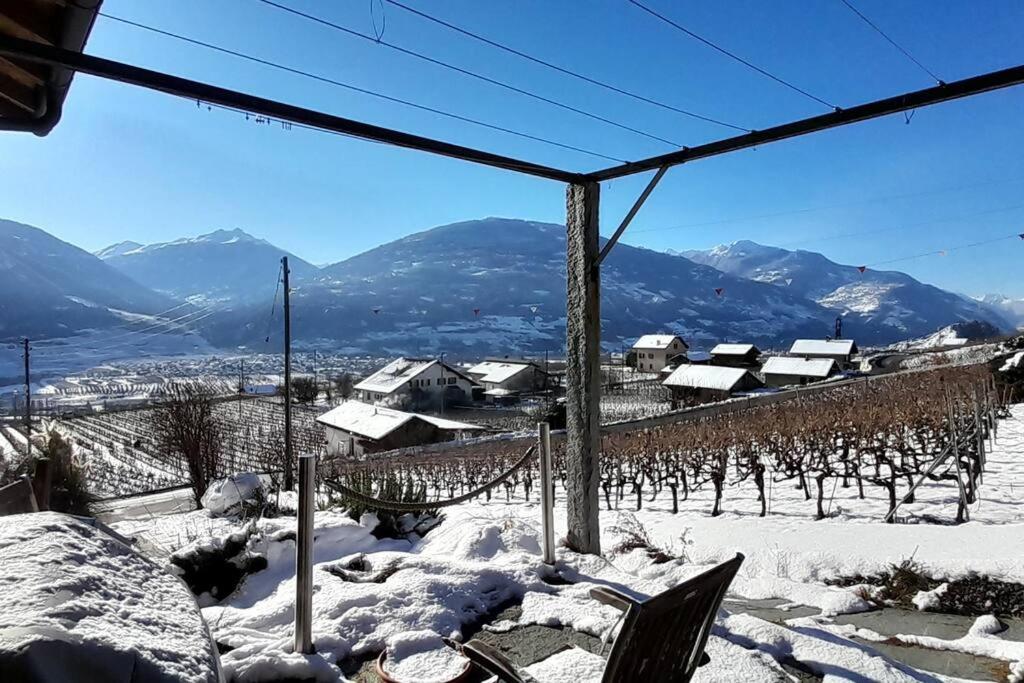 La Mijonnette des vignes