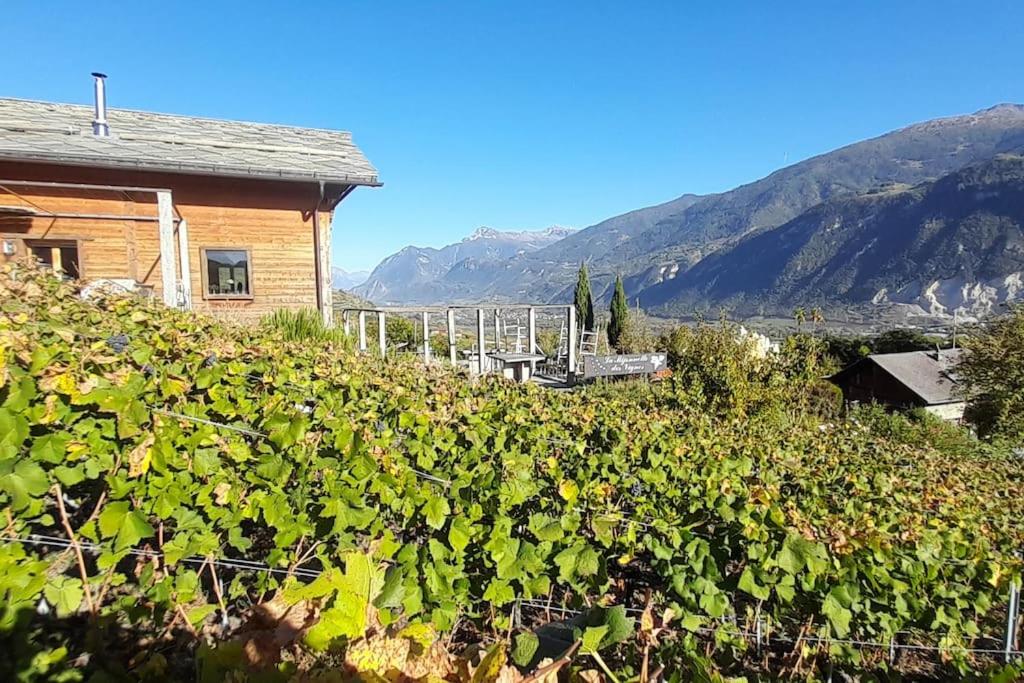 La Mijonnette des vignes