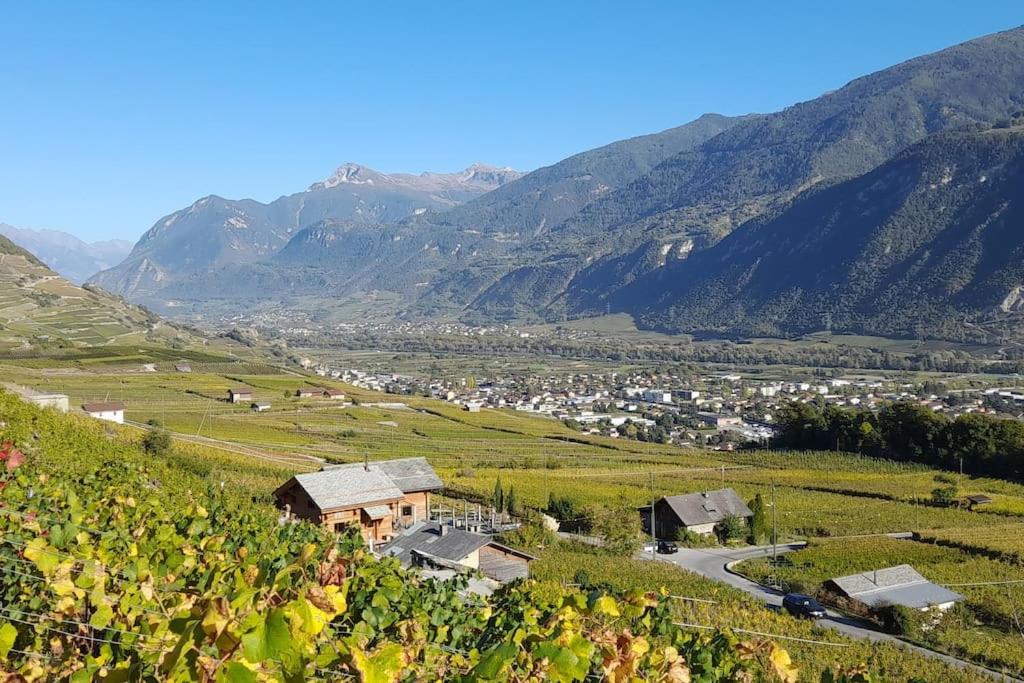La Mijonnette des vignes