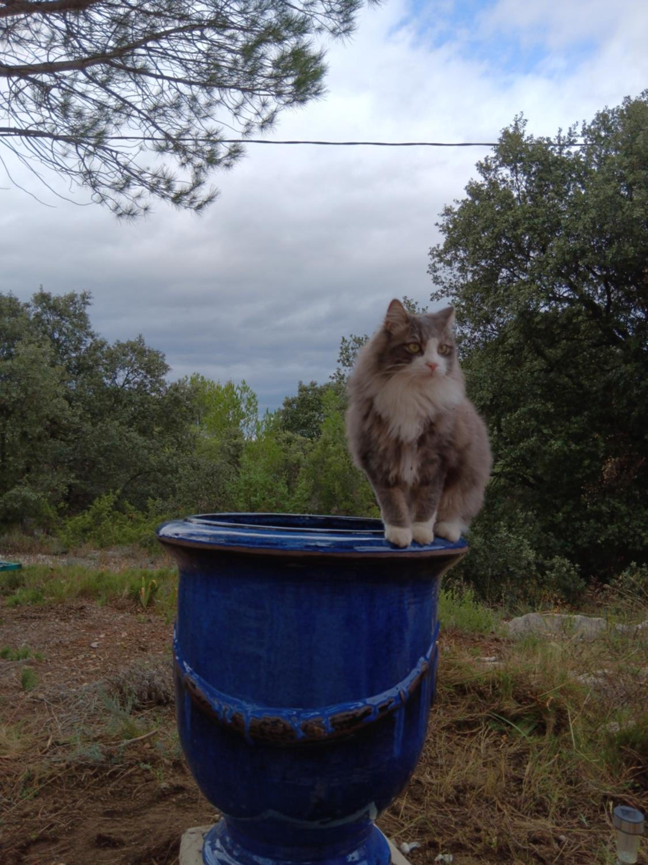 Photo 22