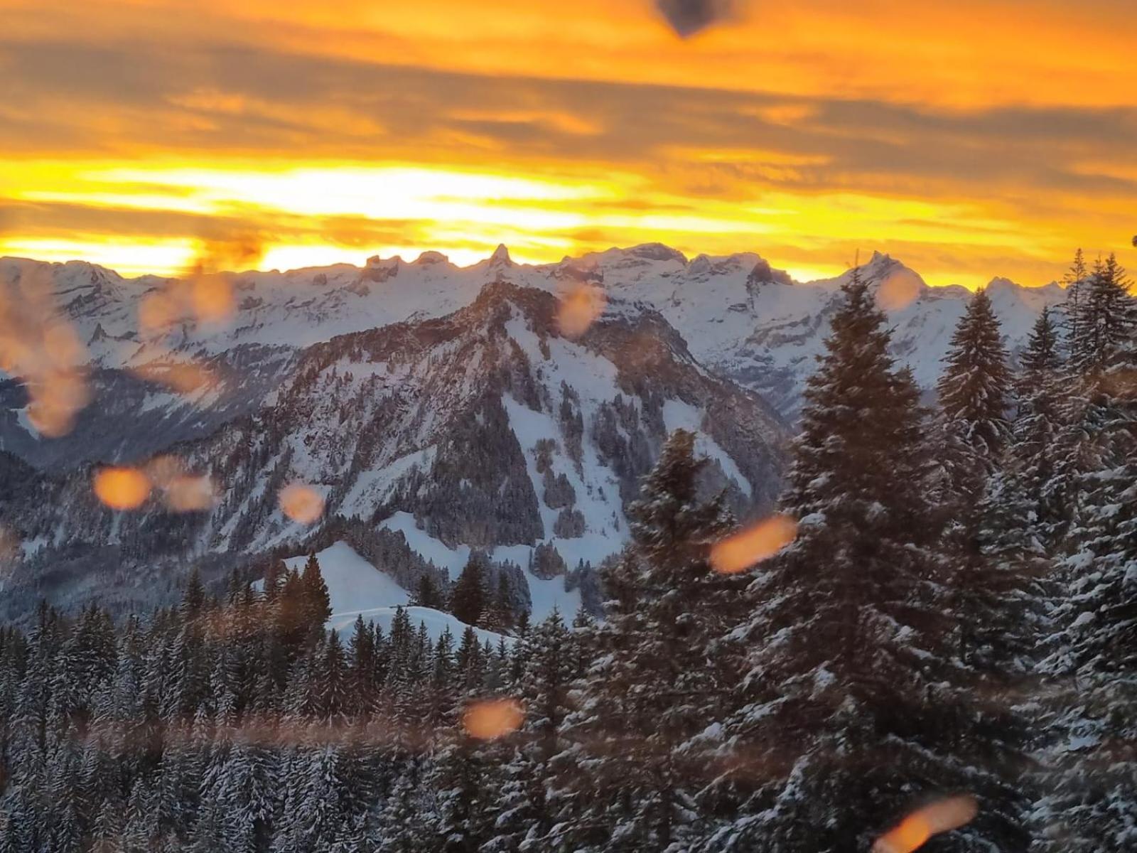 Rigi-Scheidegg Ferienwohnungen West XL, Autofrei