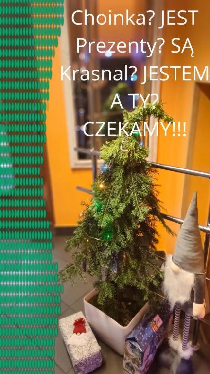 Apartamenty Pilsko Korbielów komfortowe mieszkania dla rodzin i narciarzy w Beskidach view 3