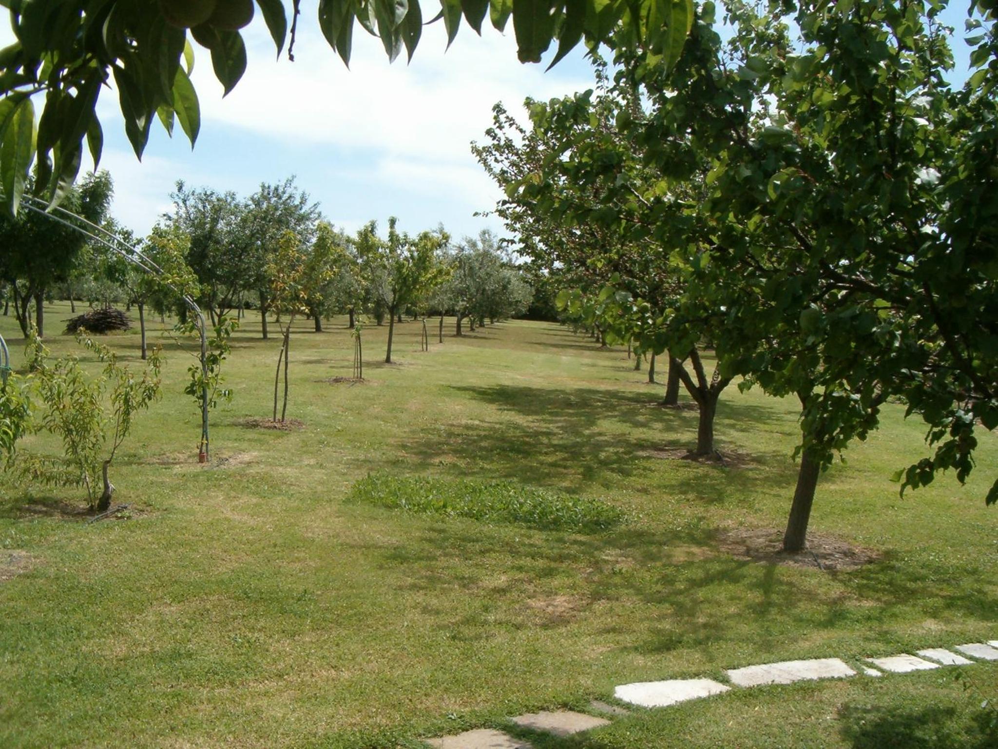 Photo 28