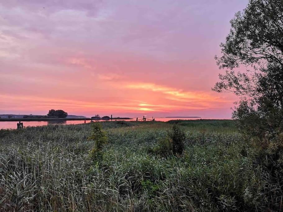 Peenekoje