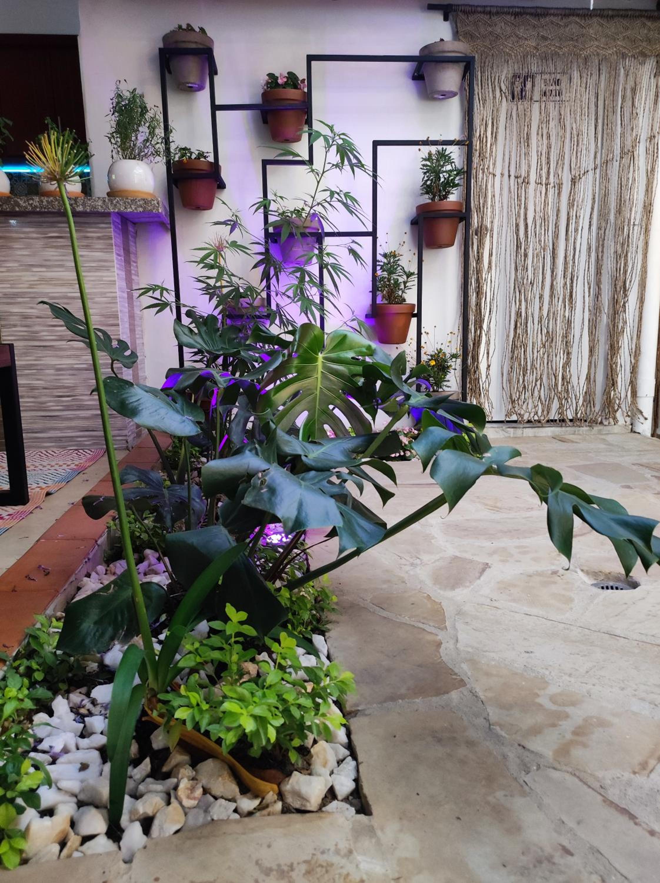 Hostal Casablanca