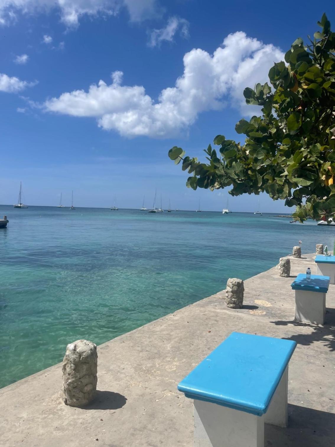 B&B Villa Luna