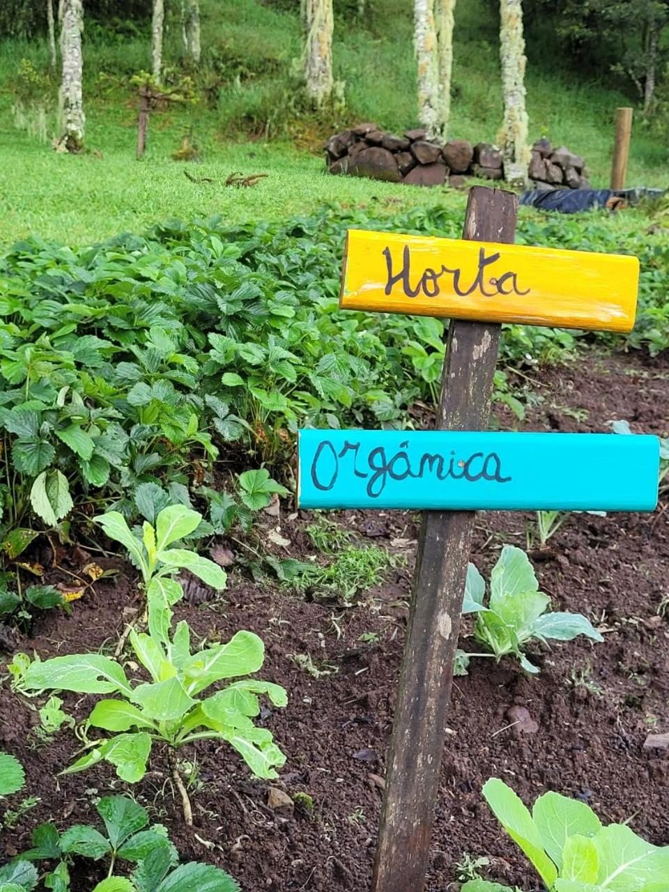 Chalé Refúgio das Águas