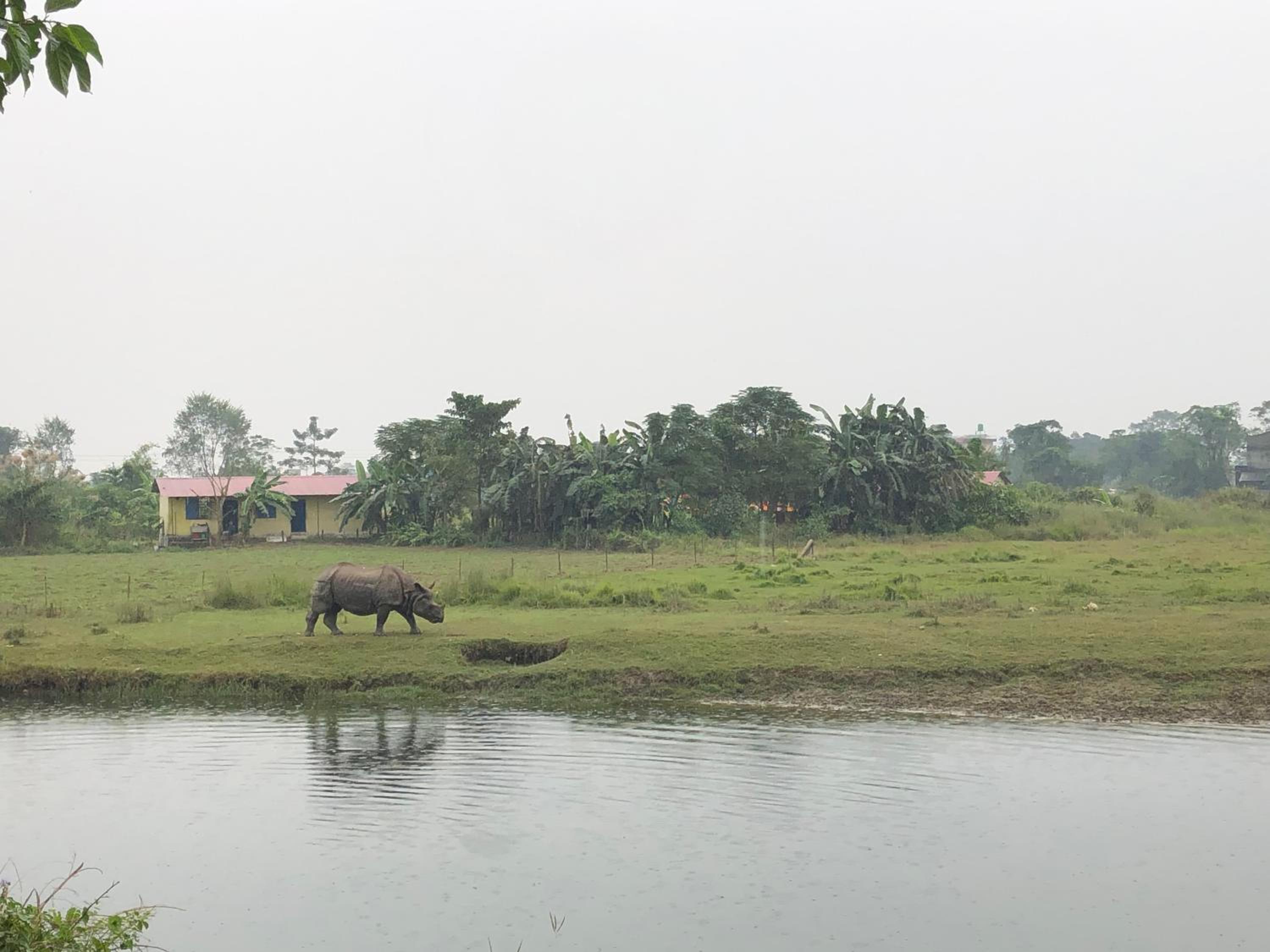 Tharu Community Home Stay