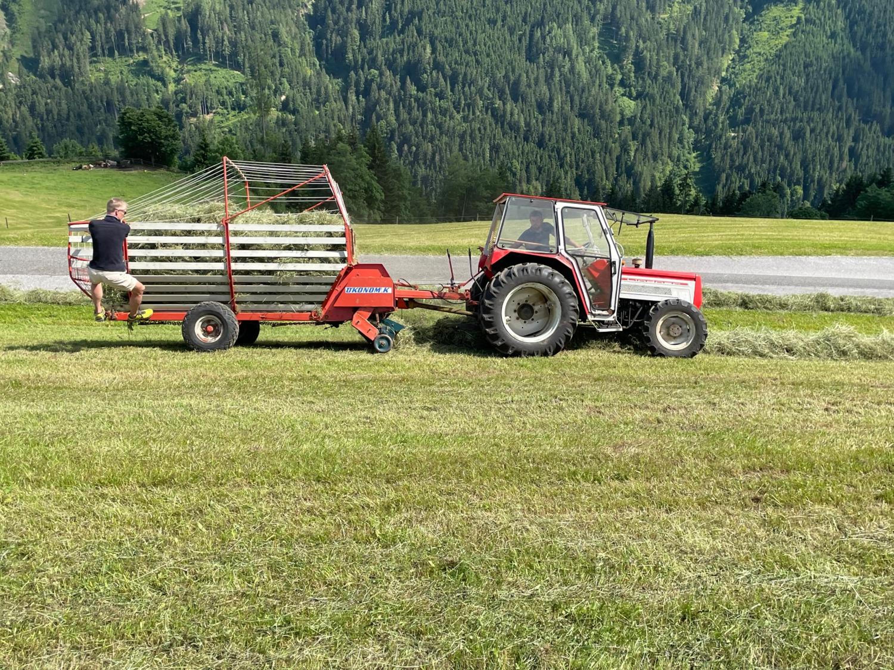 Bio Alpenhof Rostatt