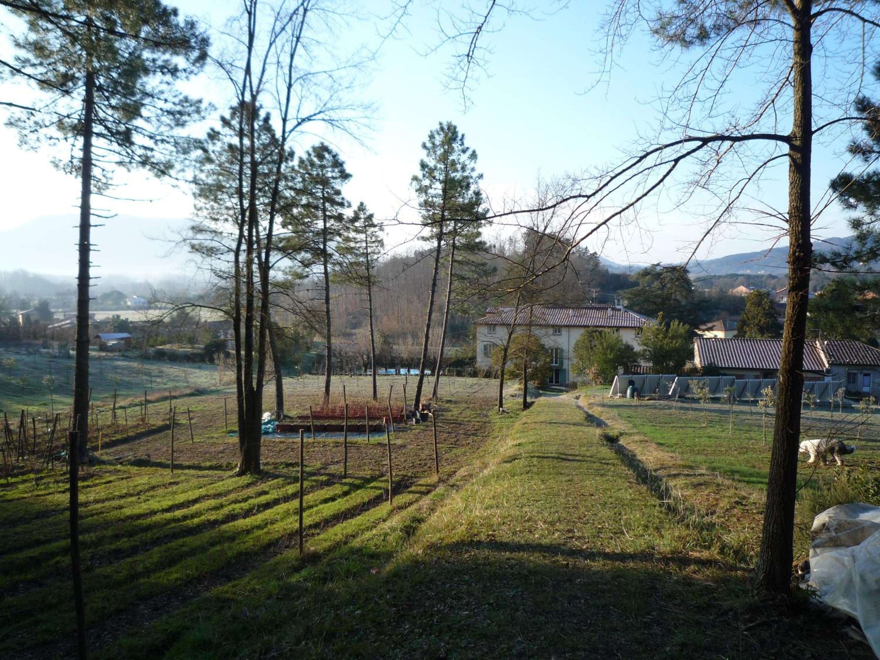 Photo 7