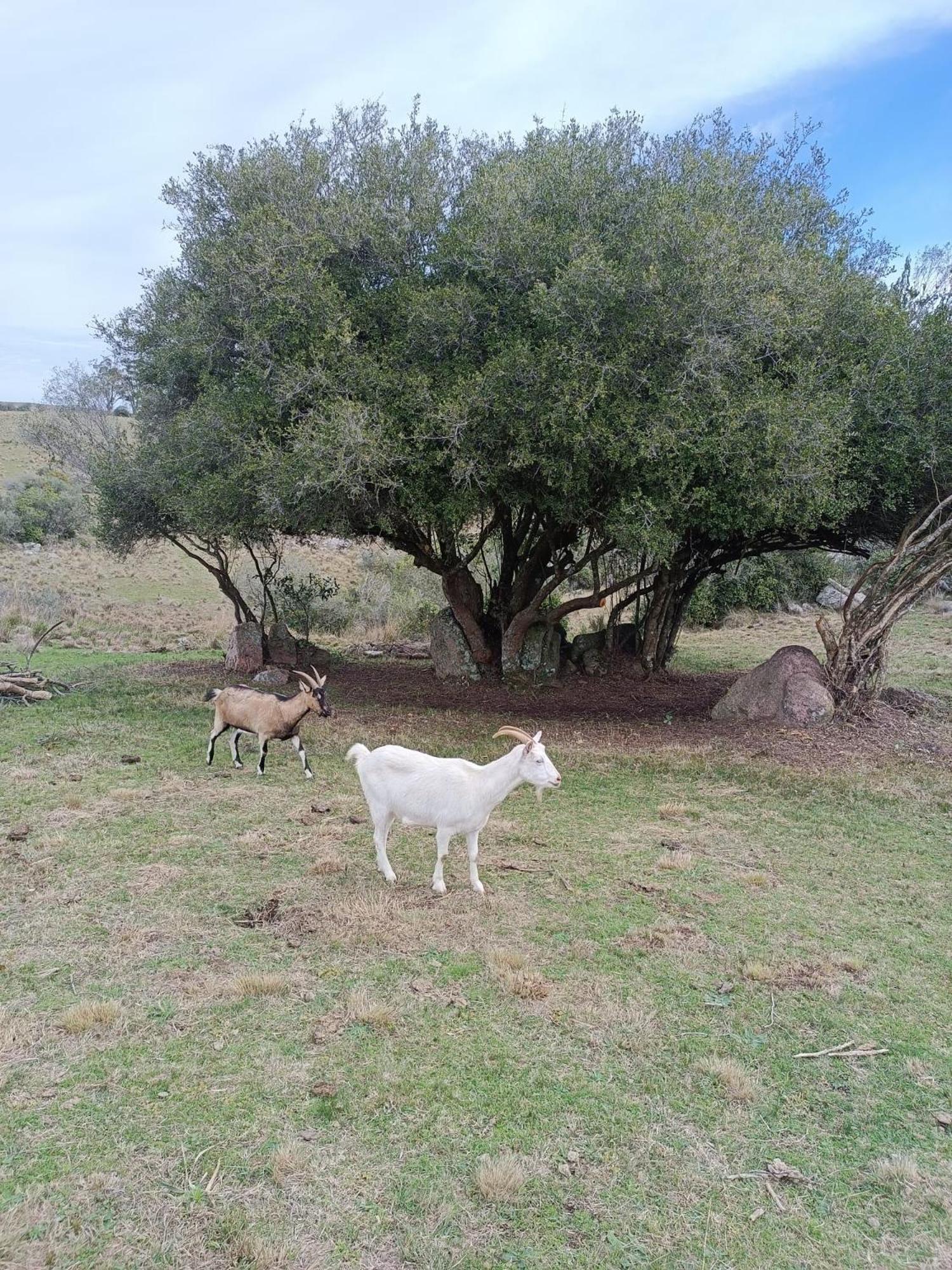 Photo 31
