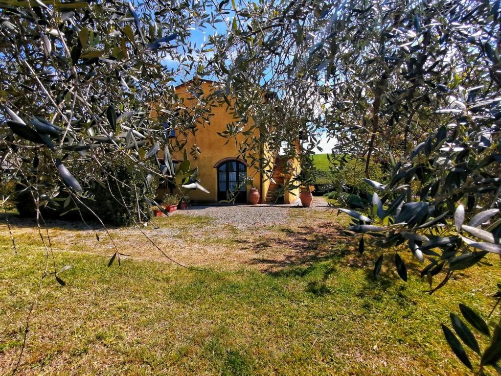 Photo 41