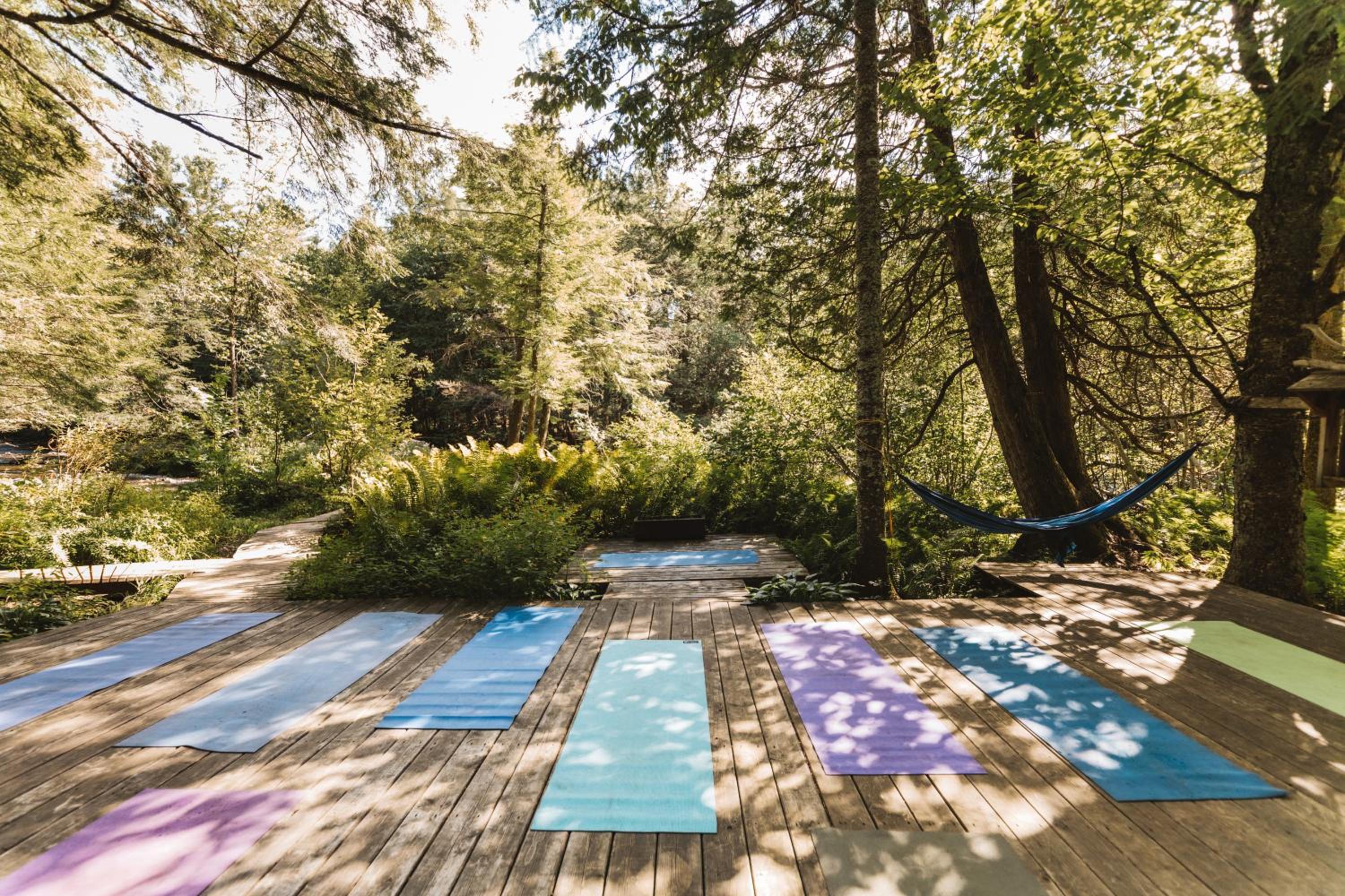 Auberge Yoga Salamandre