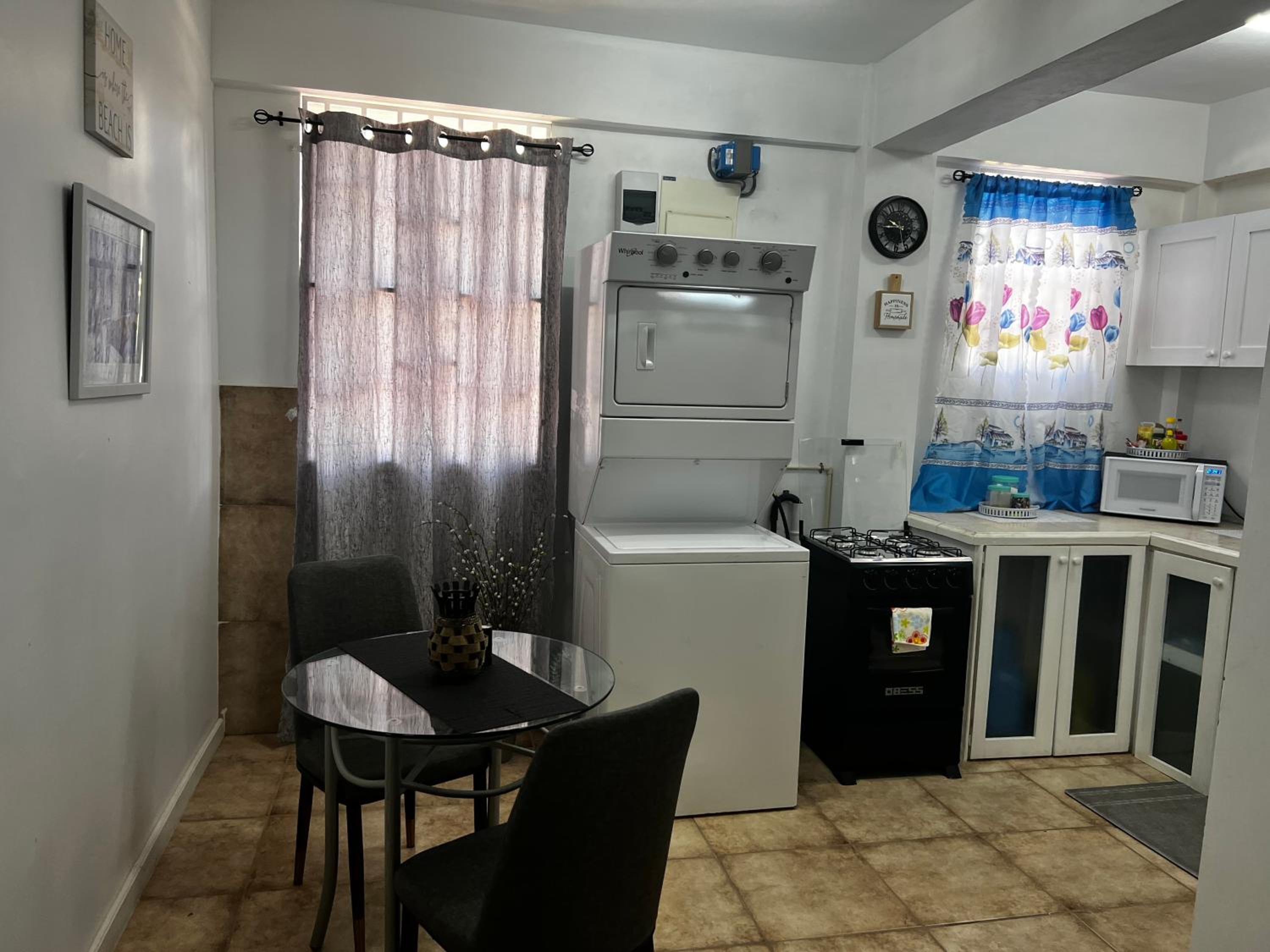 Roseau City Hub apt # 3