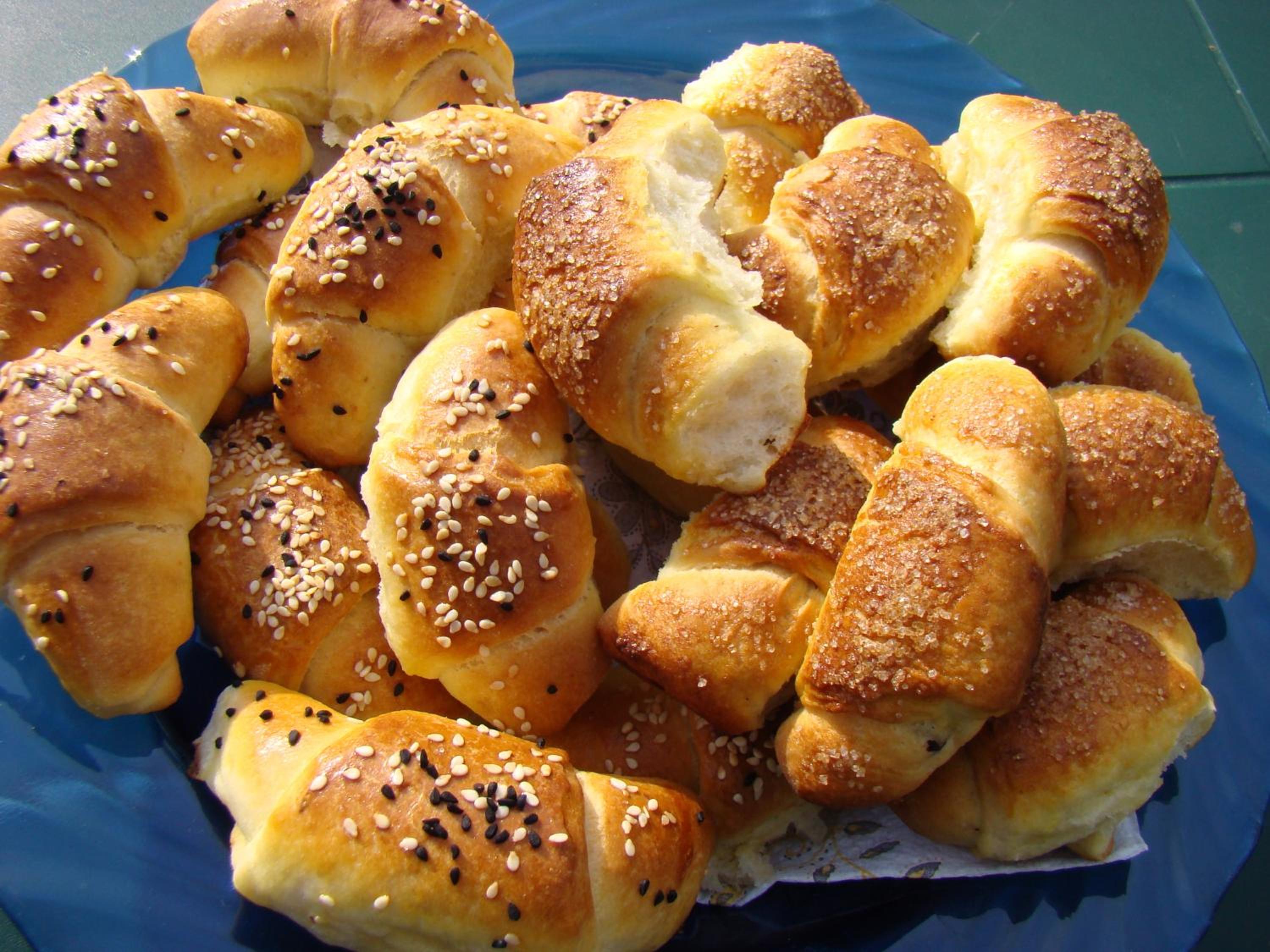 Bilkarskata Kashta