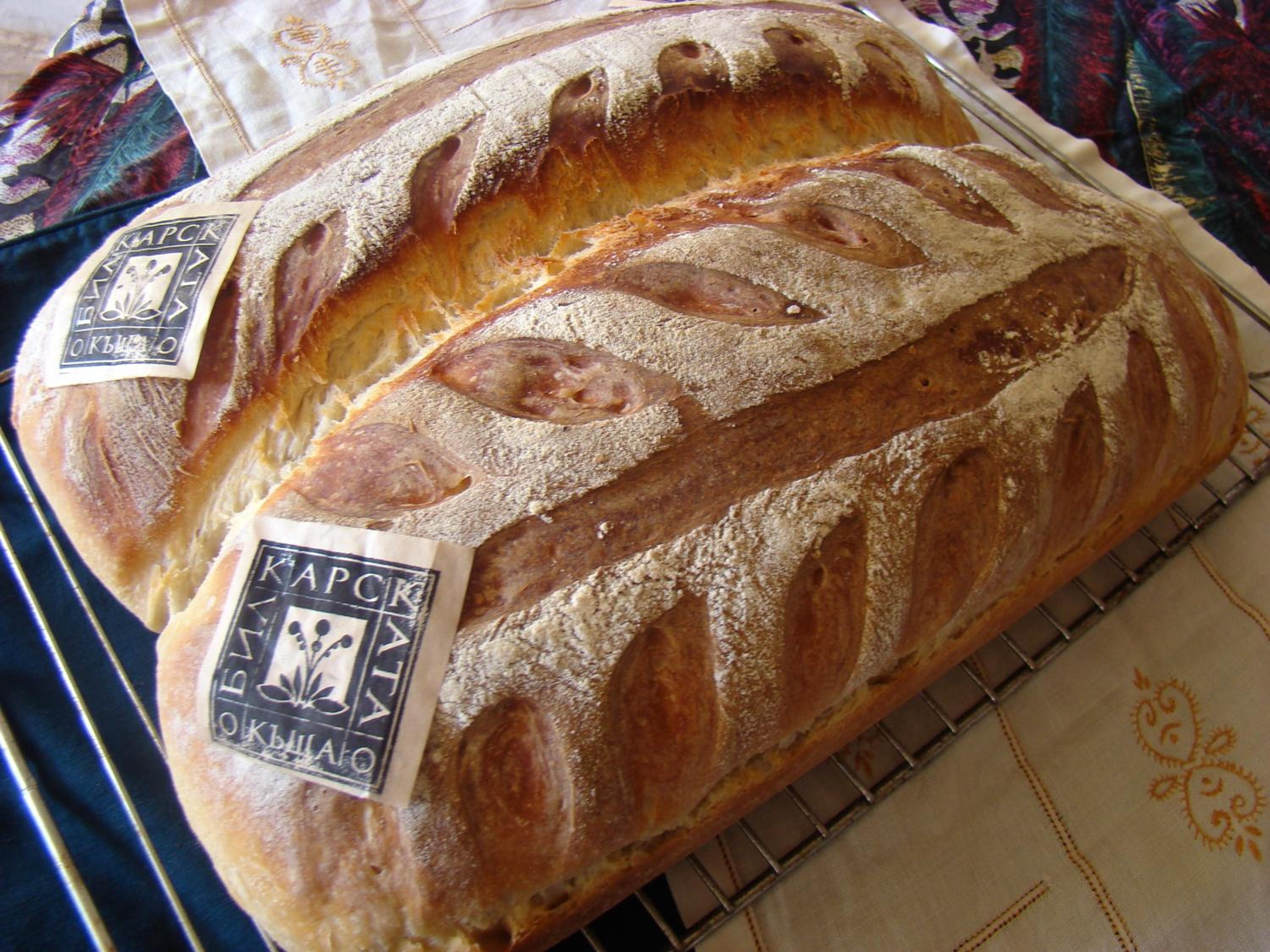 Bilkarskata Kashta