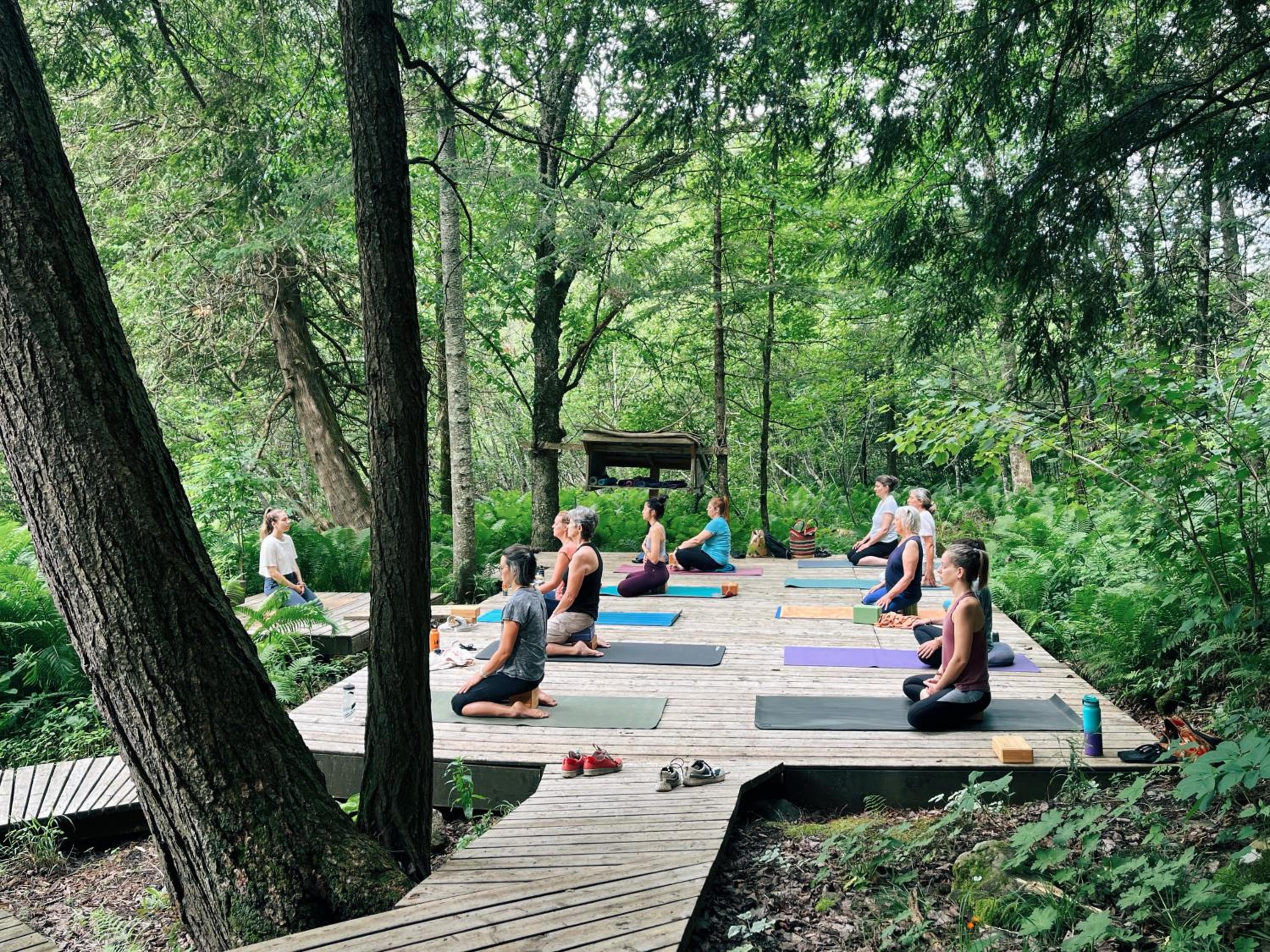 Auberge Yoga Salamandre