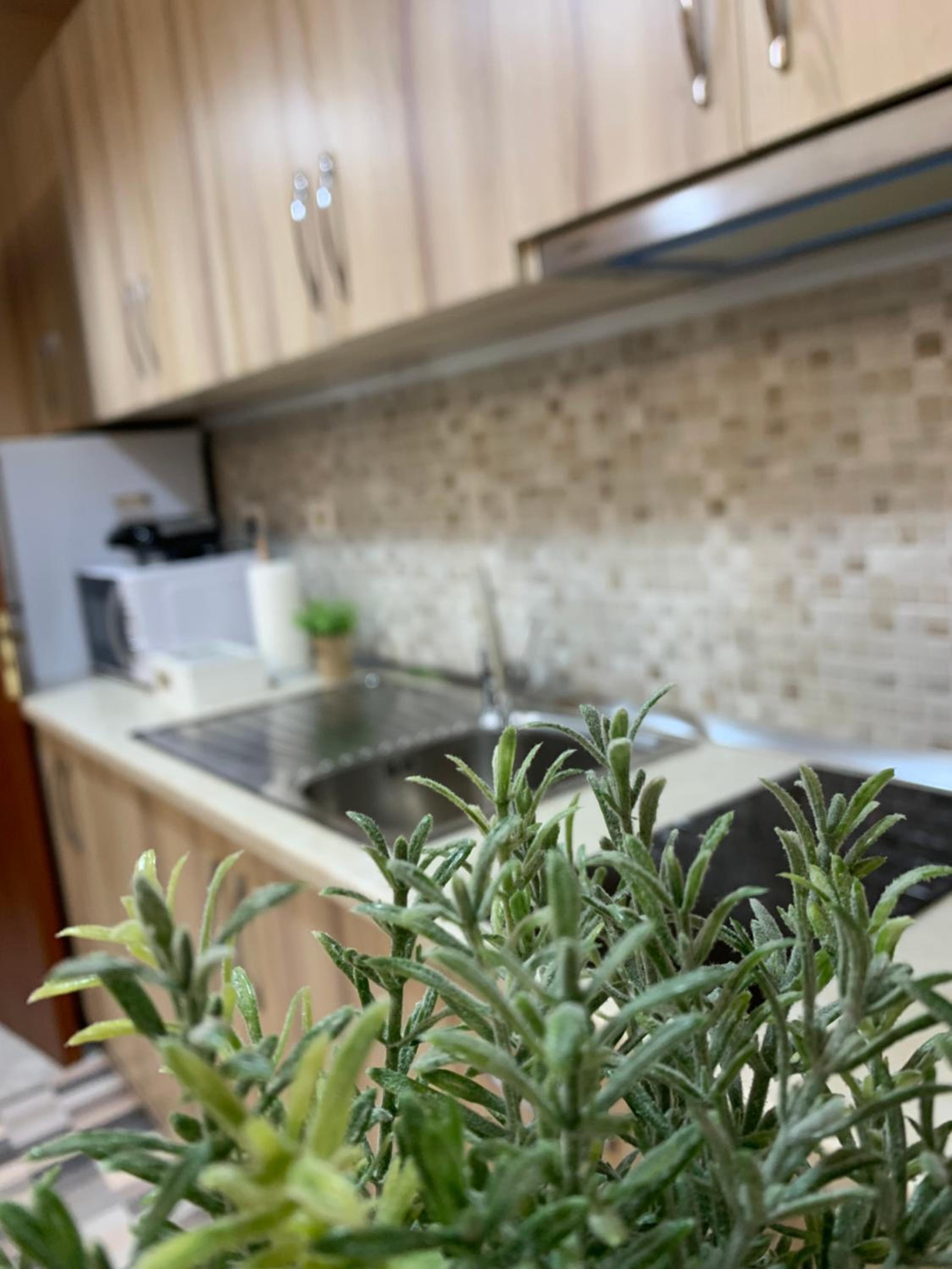 Ridi's Comfort Apartment