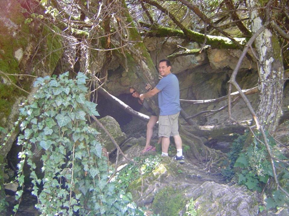 Photo 22