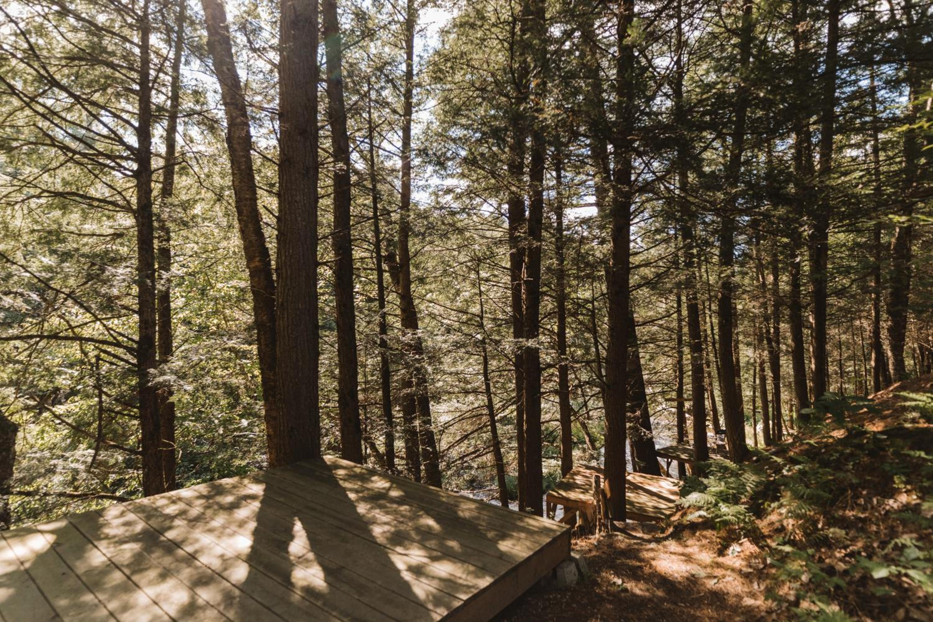 Auberge Yoga Salamandre