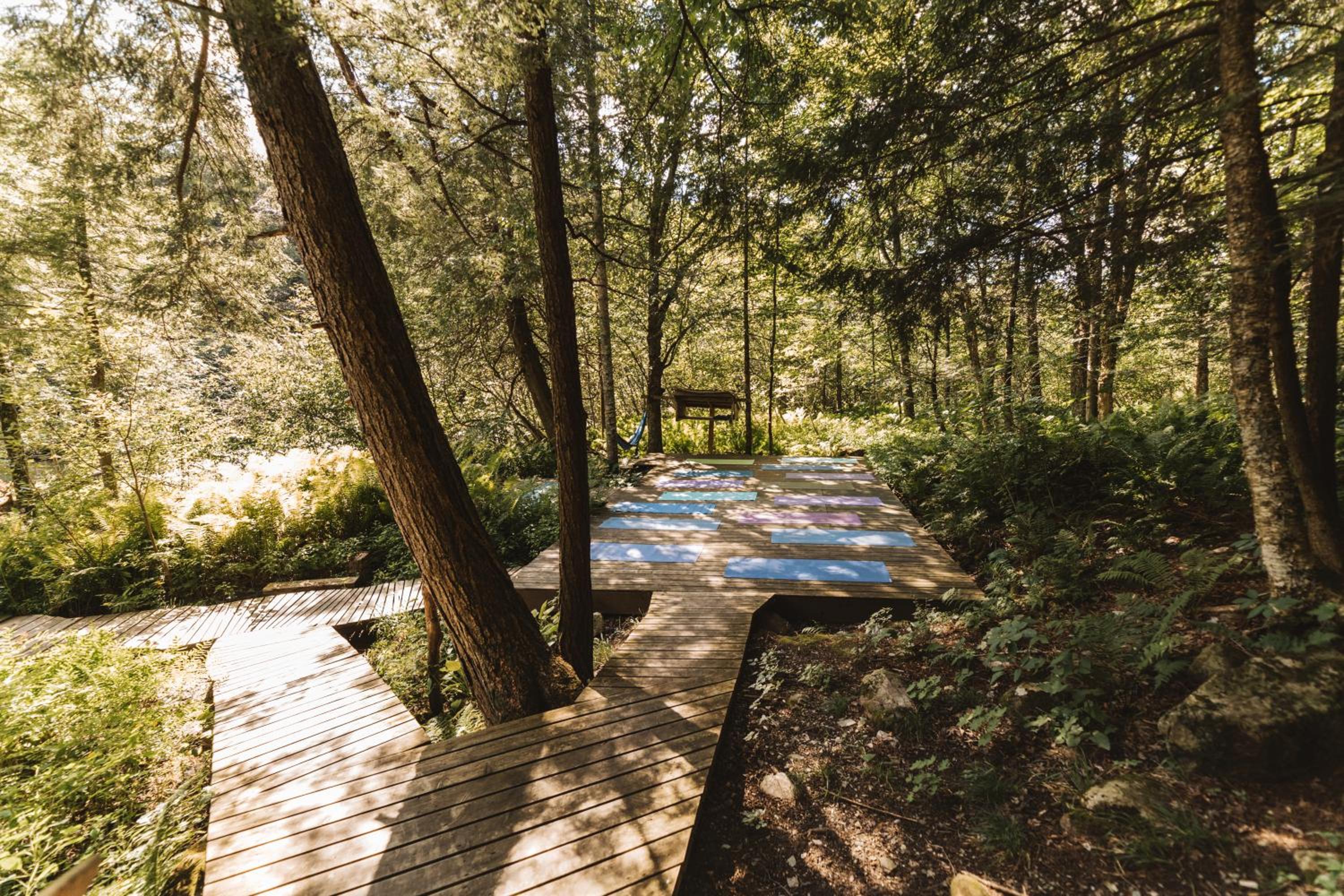 Auberge Yoga Salamandre