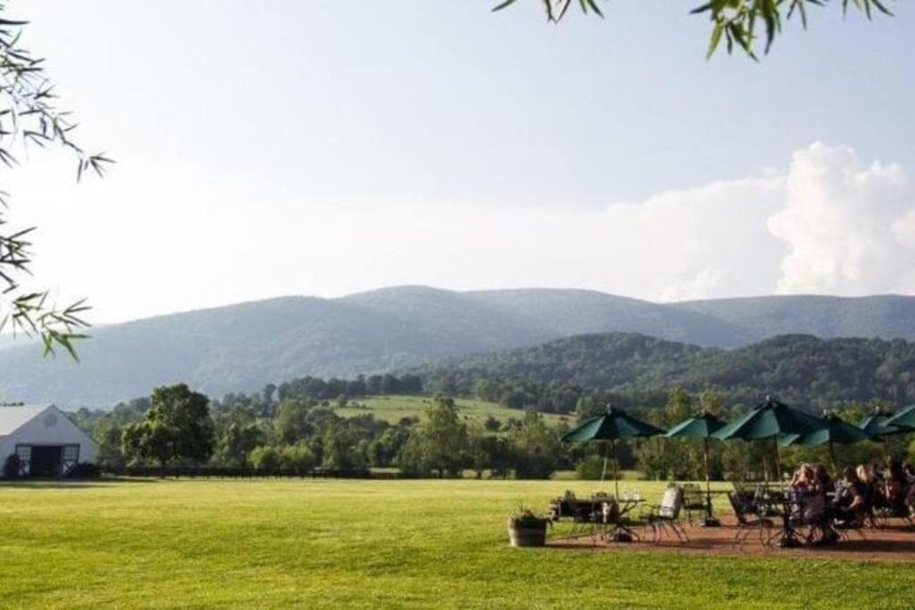 The Cottage @ Afton Mountain- Close to Wineries! view 4