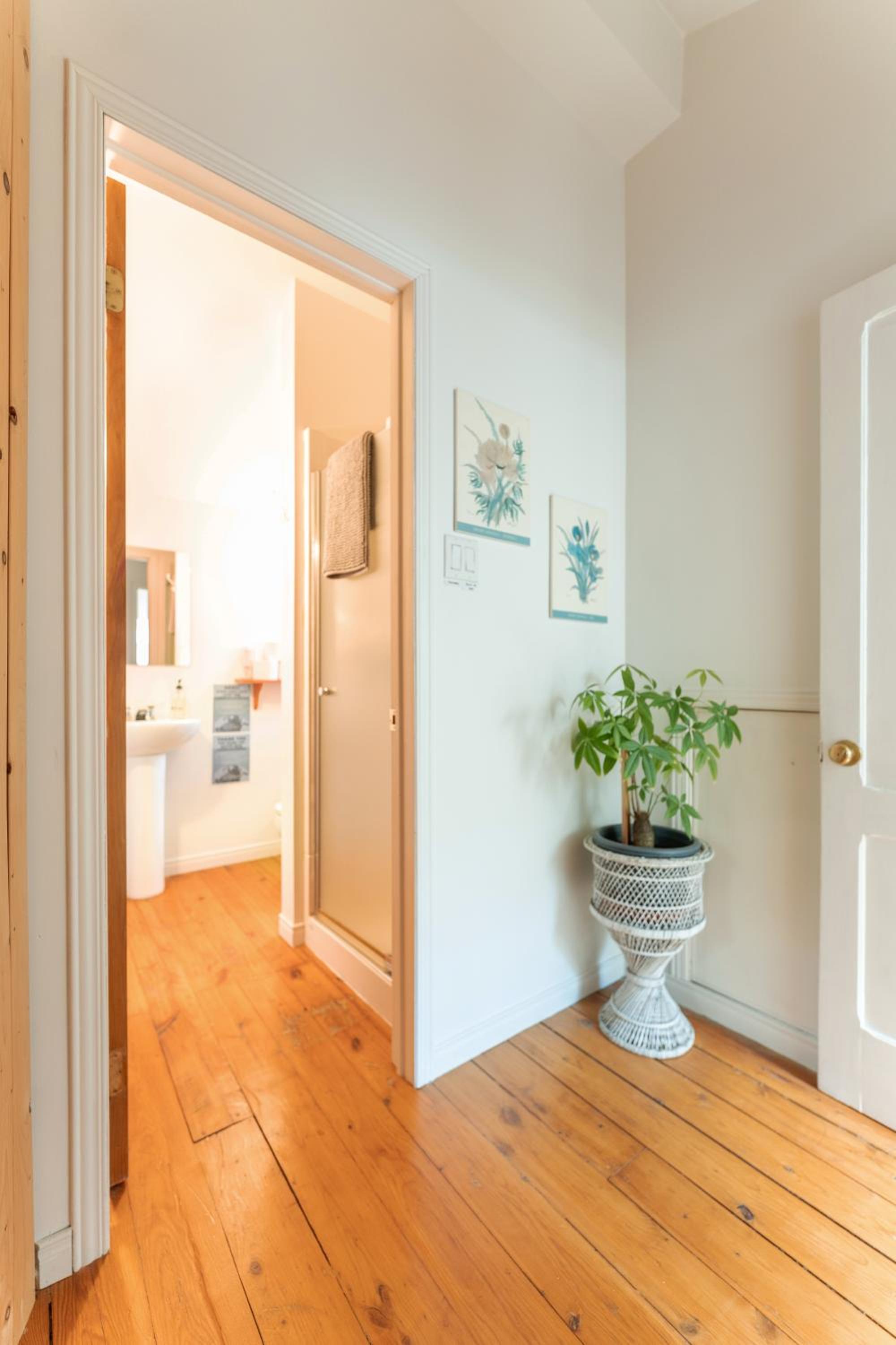 Auberge Yoga Salamandre