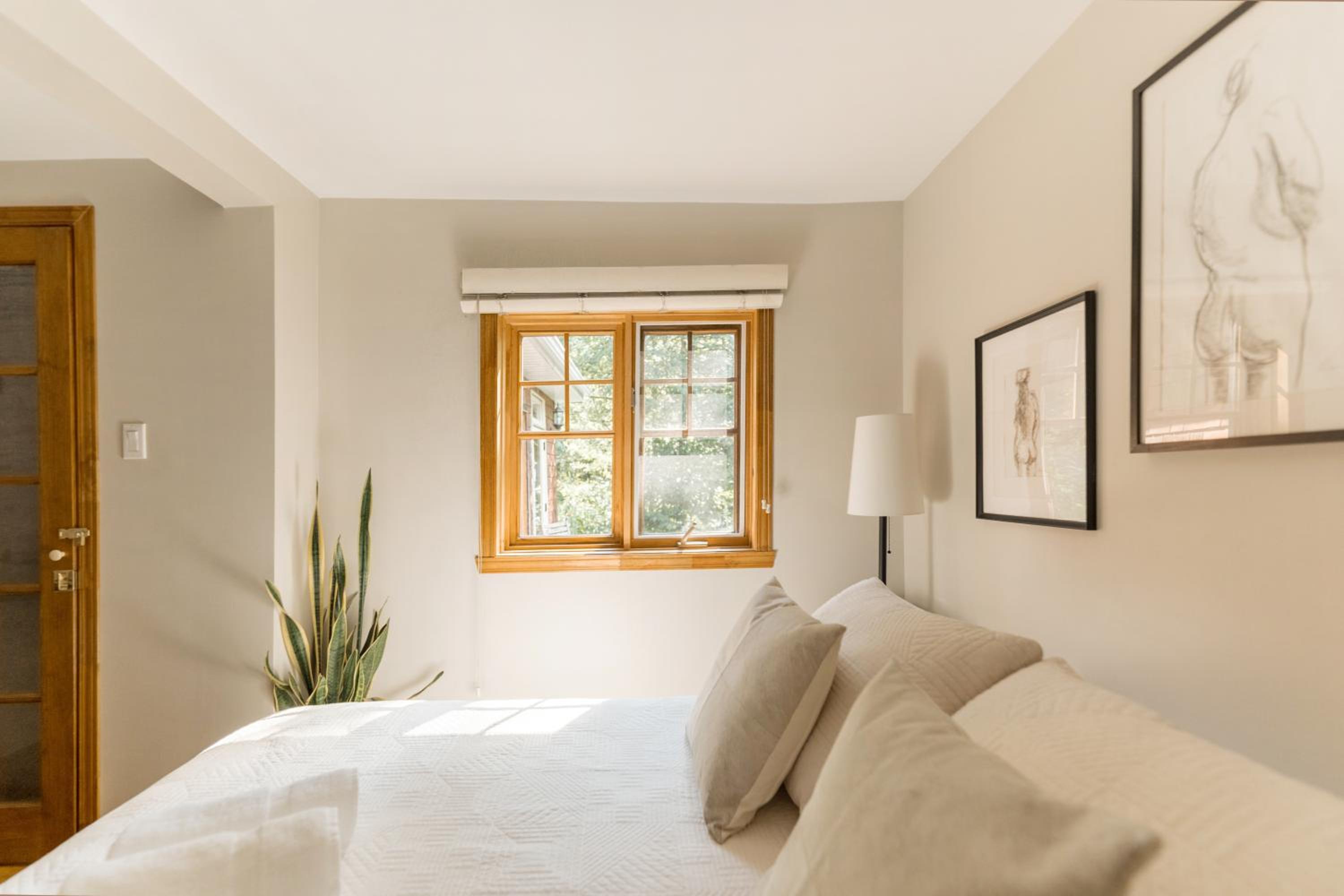 Auberge Yoga Salamandre