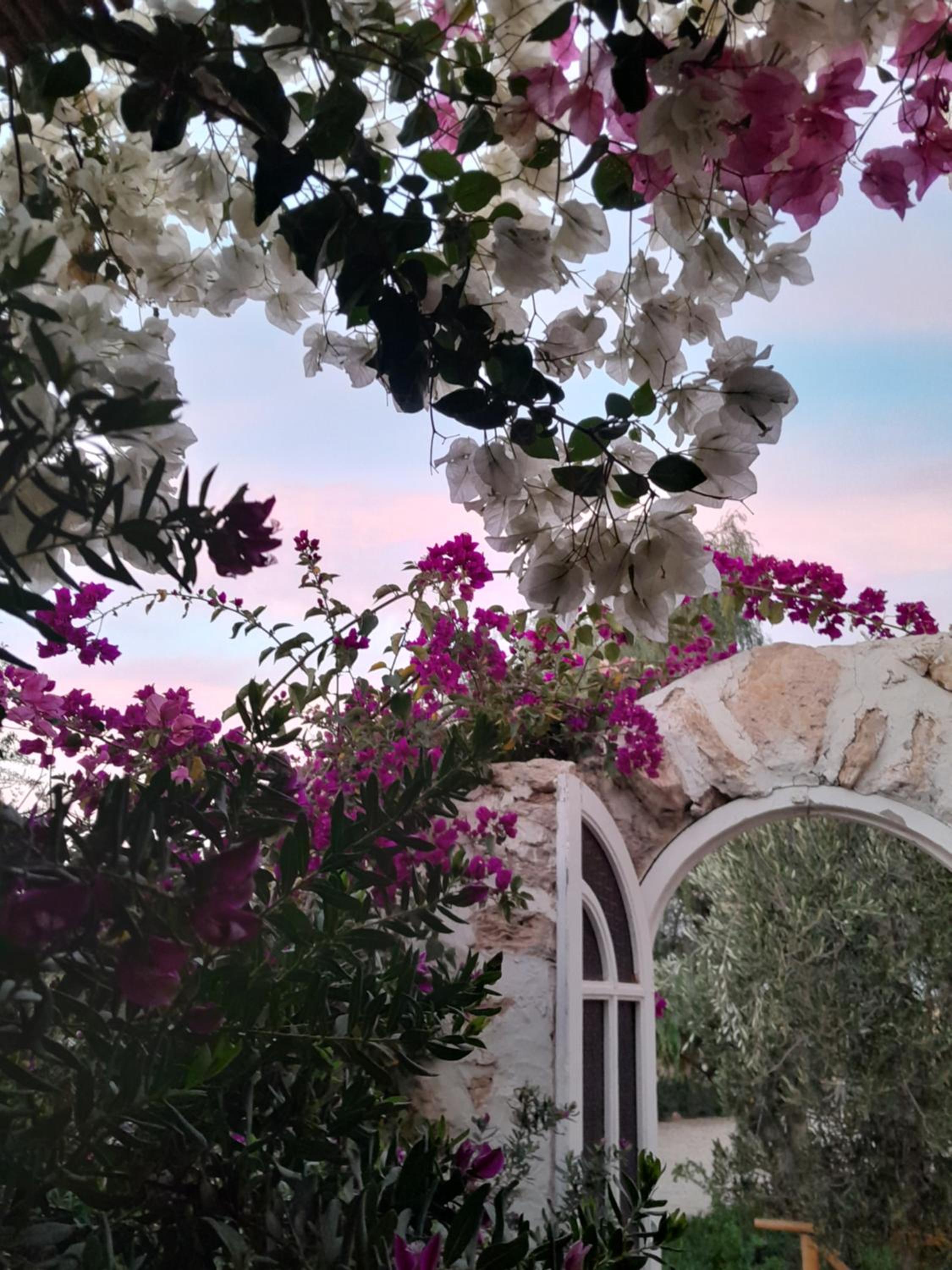 Riad Sanam - Adults only