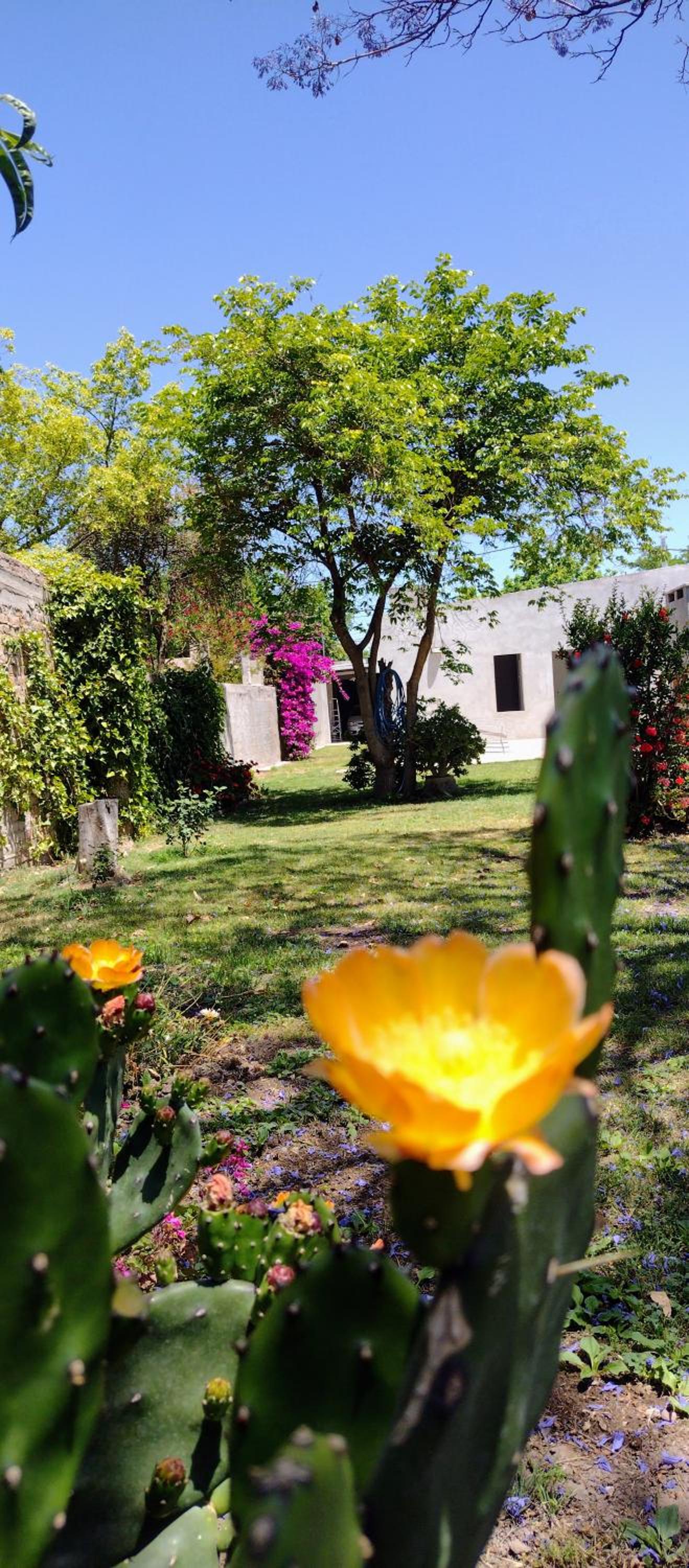 La casa de Flor