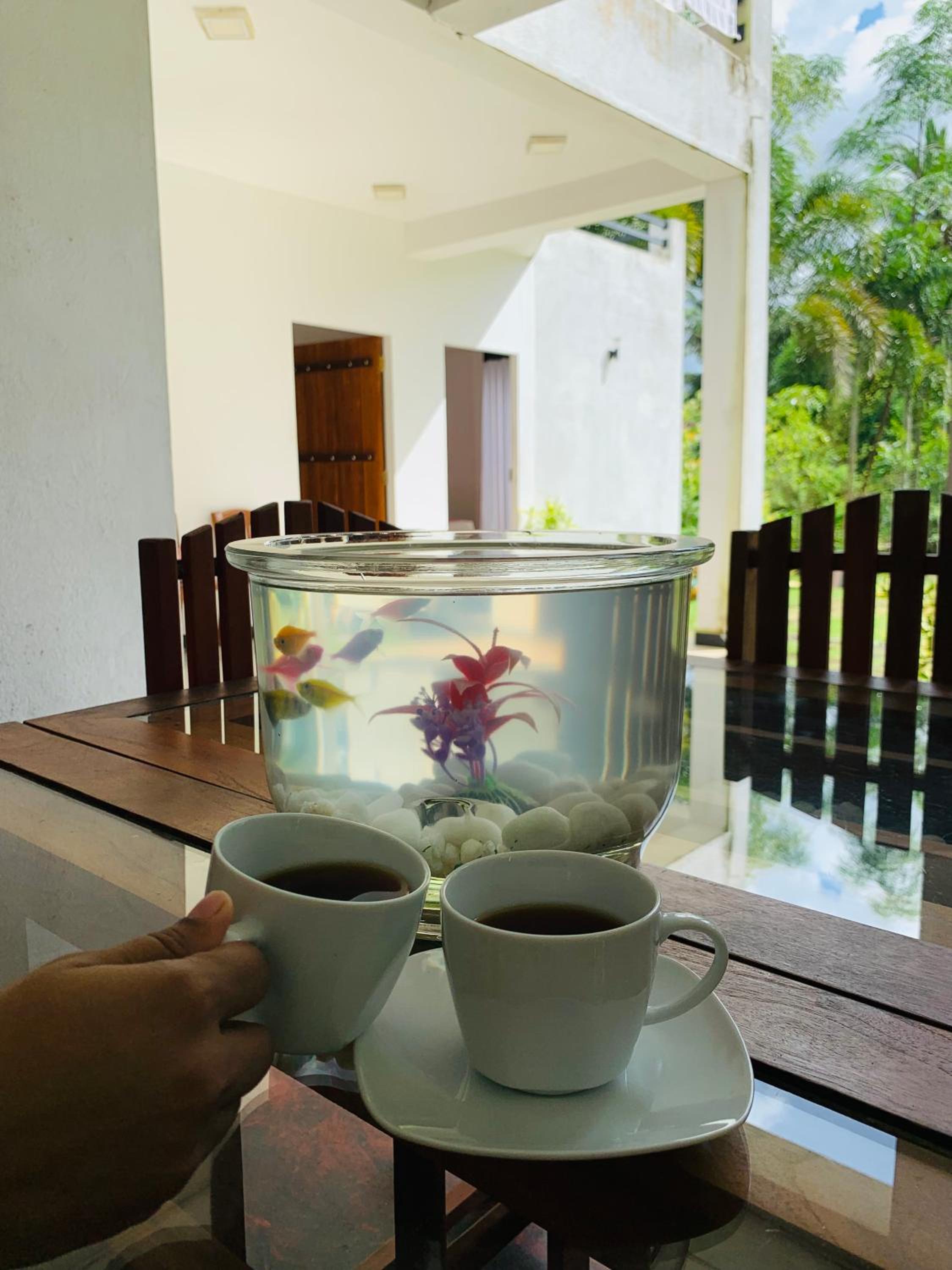 Chill House safari resort view 2