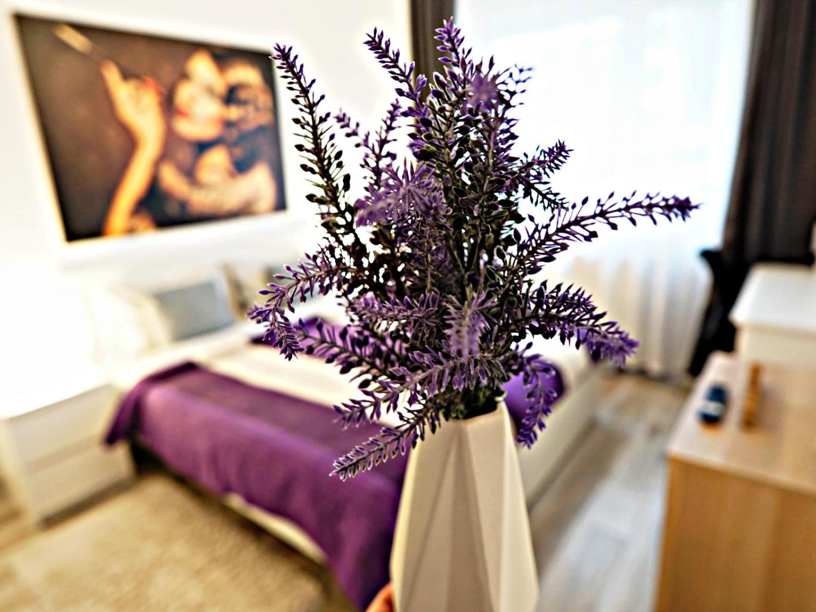 Relaxing Coresi Mall studio free parking