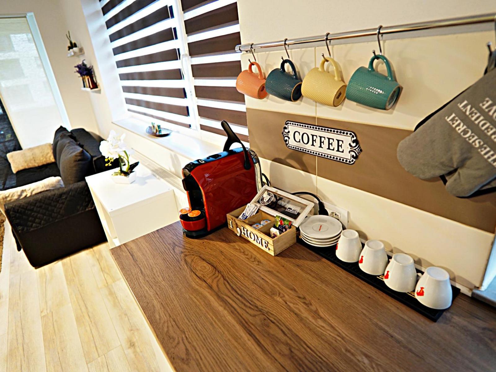 Relaxing Coresi Mall studio free parking