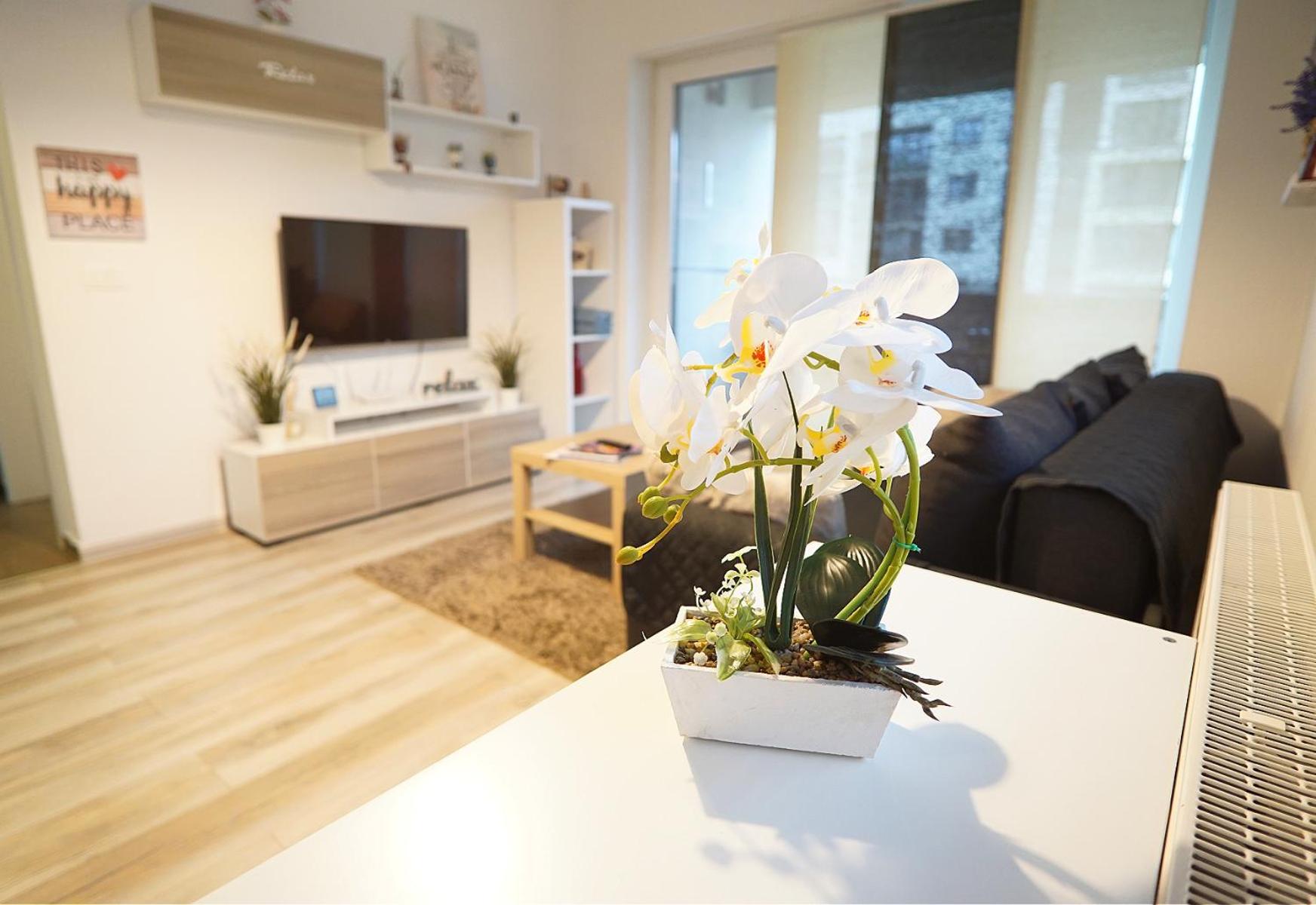 Relaxing Coresi Mall studio free parking