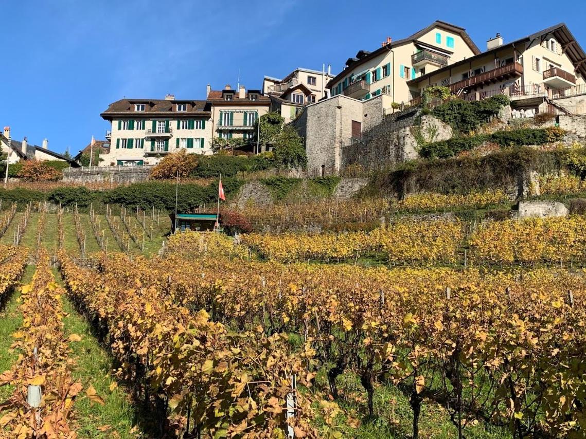 La Vigneronne, Chailly-Montreux