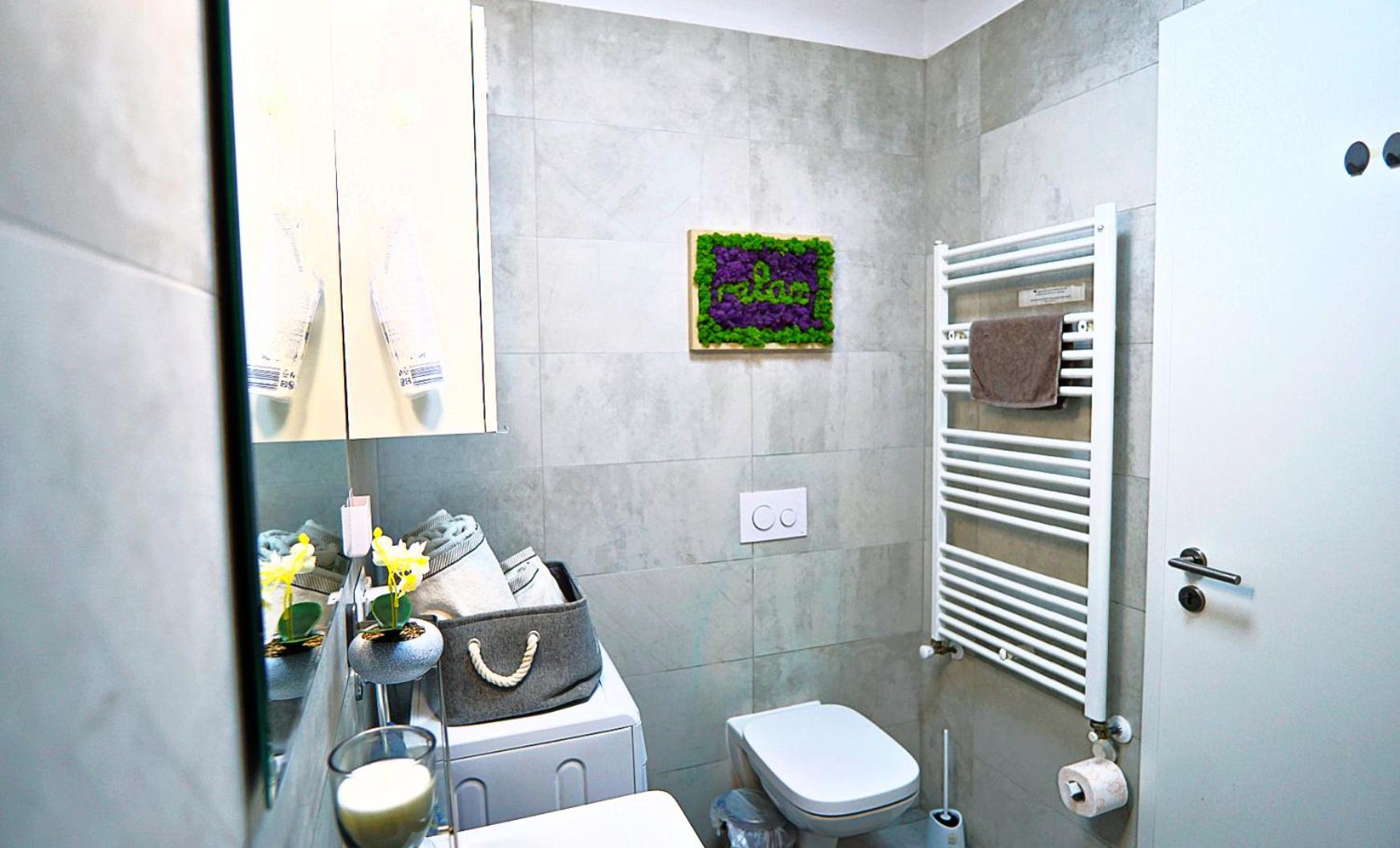 Relaxing Coresi Mall studio free parking